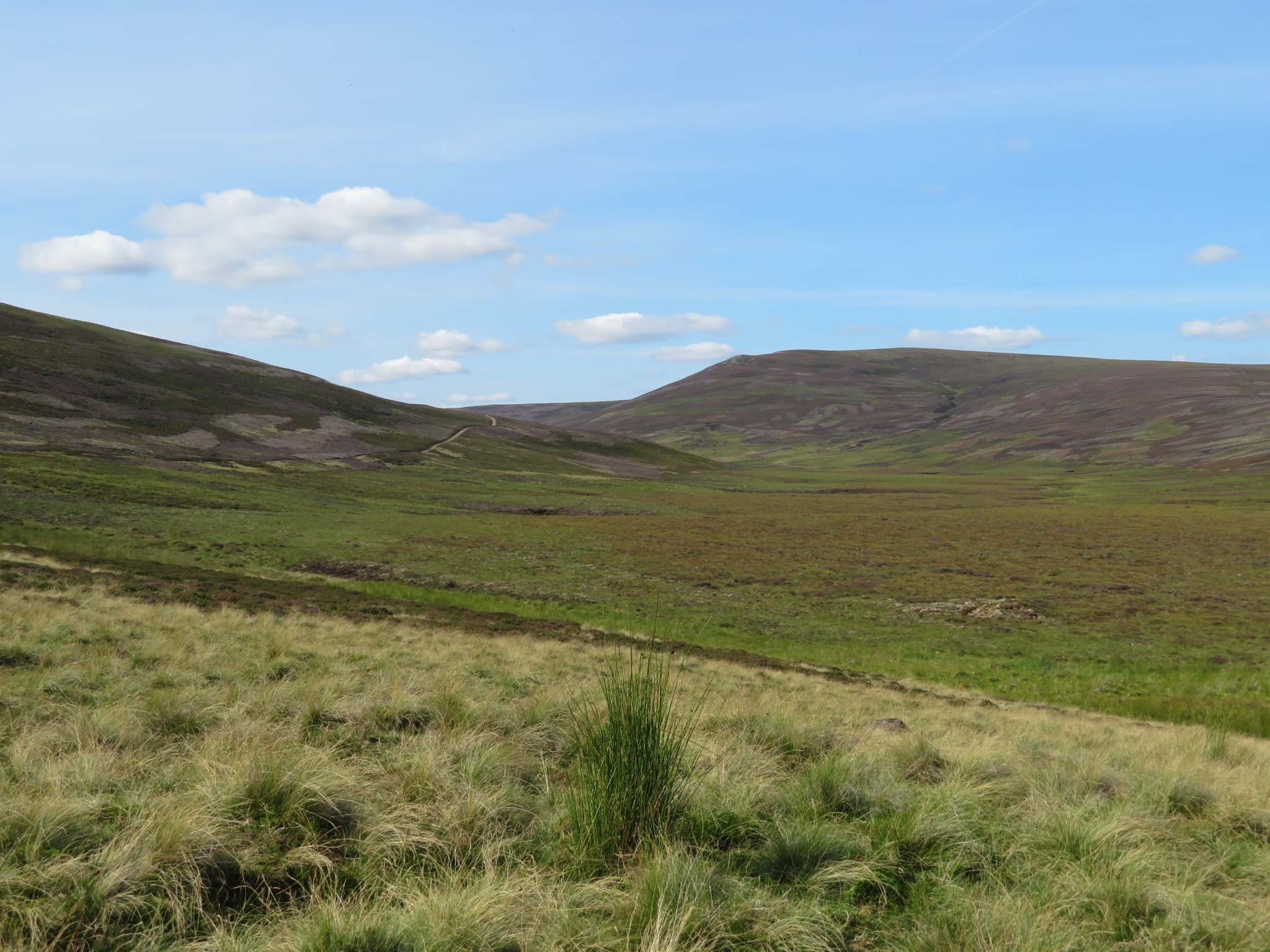 United Kingdom Scotland Cairngorms, Head of the Don Valley, , Walkopedia