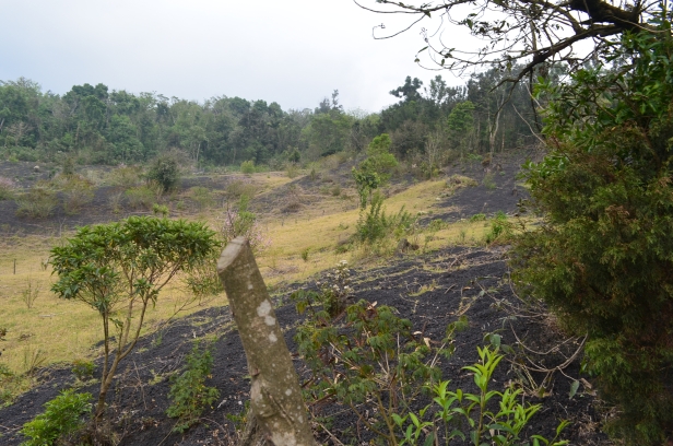 Guatemala Western Volcanic Highlands, Volcan Pacaya , , Walkopedia