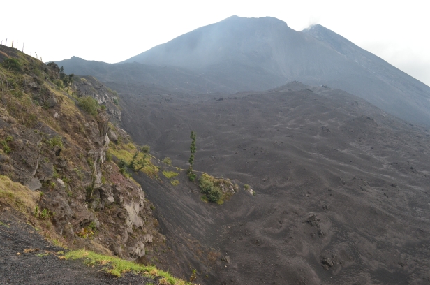 Volcan Pacaya : © Flickr user Matt Stabile