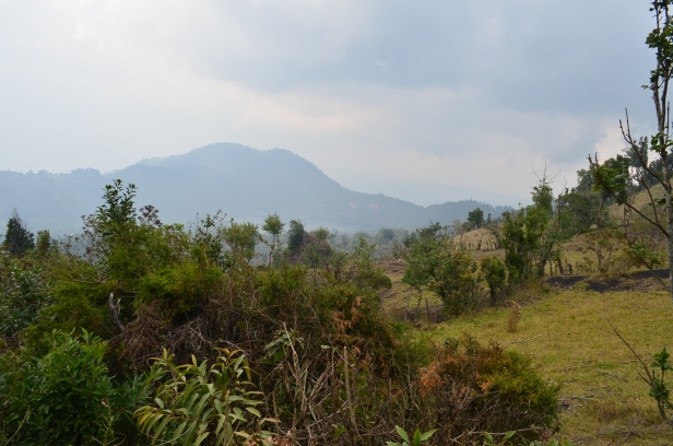 Guatemala Western Volcanic Highlands, Volcan Pacaya , , Walkopedia