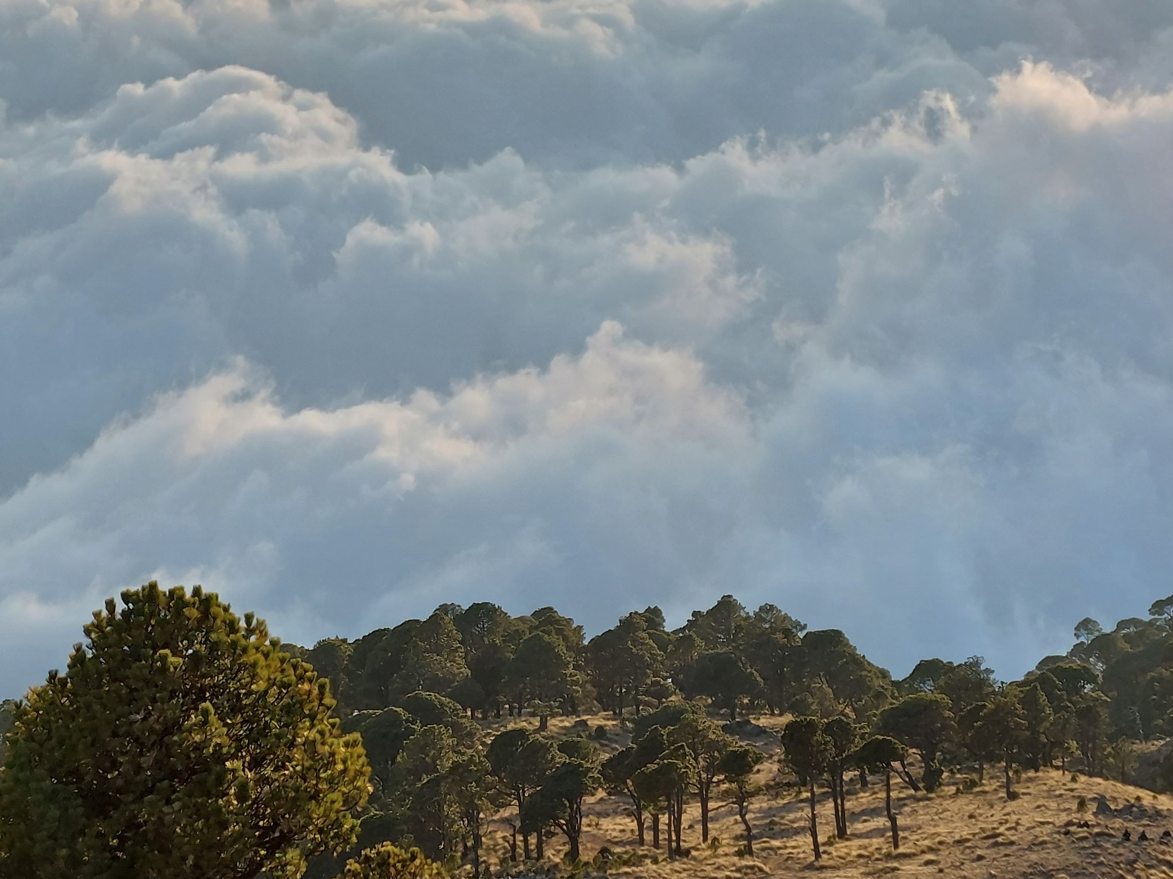 Guatemala Western Volcanic Highlands, Volcan Tajumulco , Evening light, Walkopedia