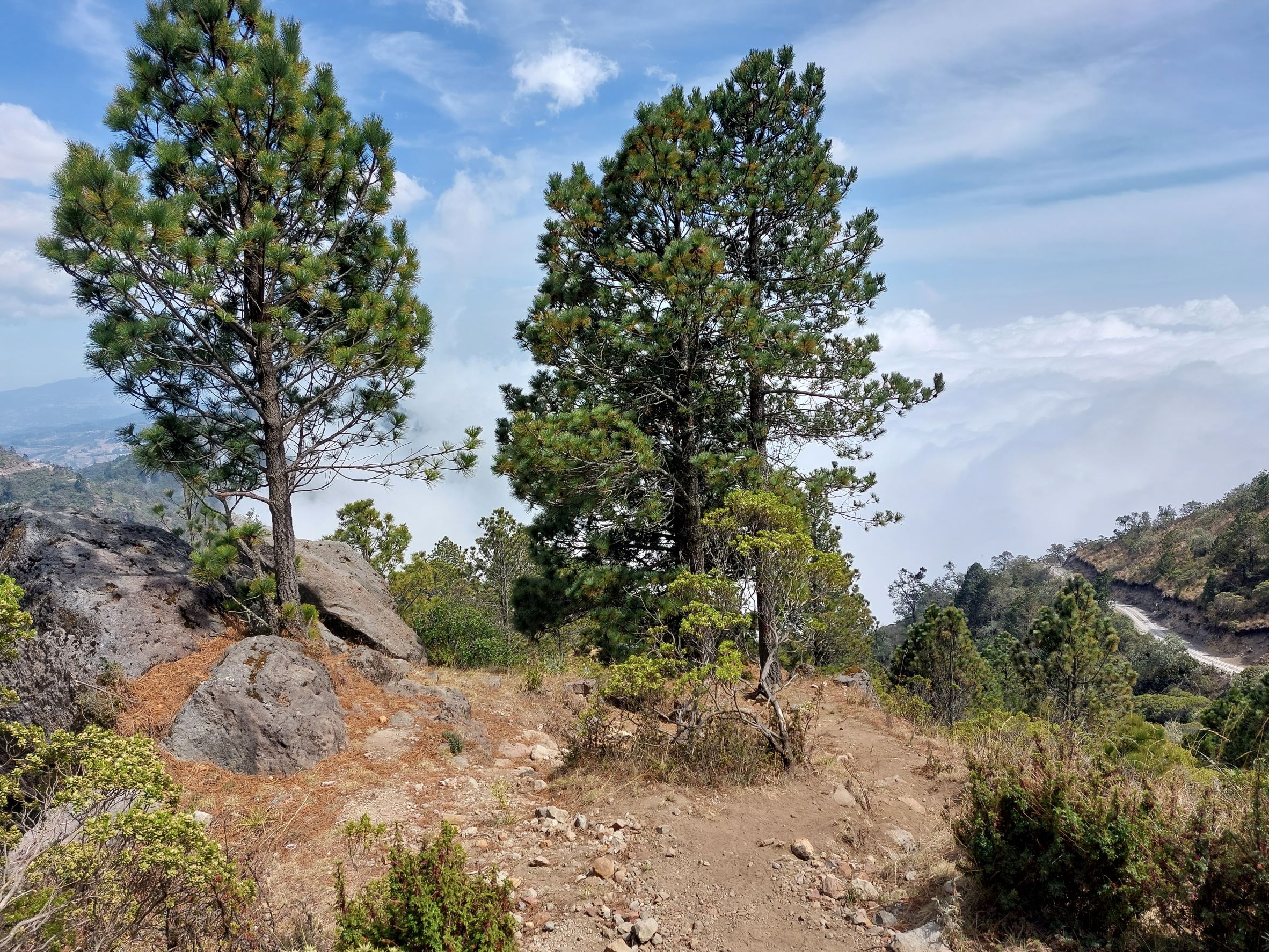 Guatemala Western Volcanic Highlands, Volcan Tajumulco , Just above the road, Walkopedia