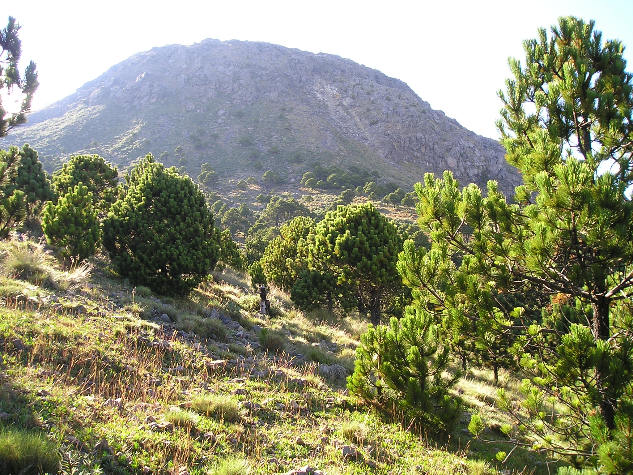 Guatemala Western Volcanic Highlands, Volcan Tajumulco , , Walkopedia