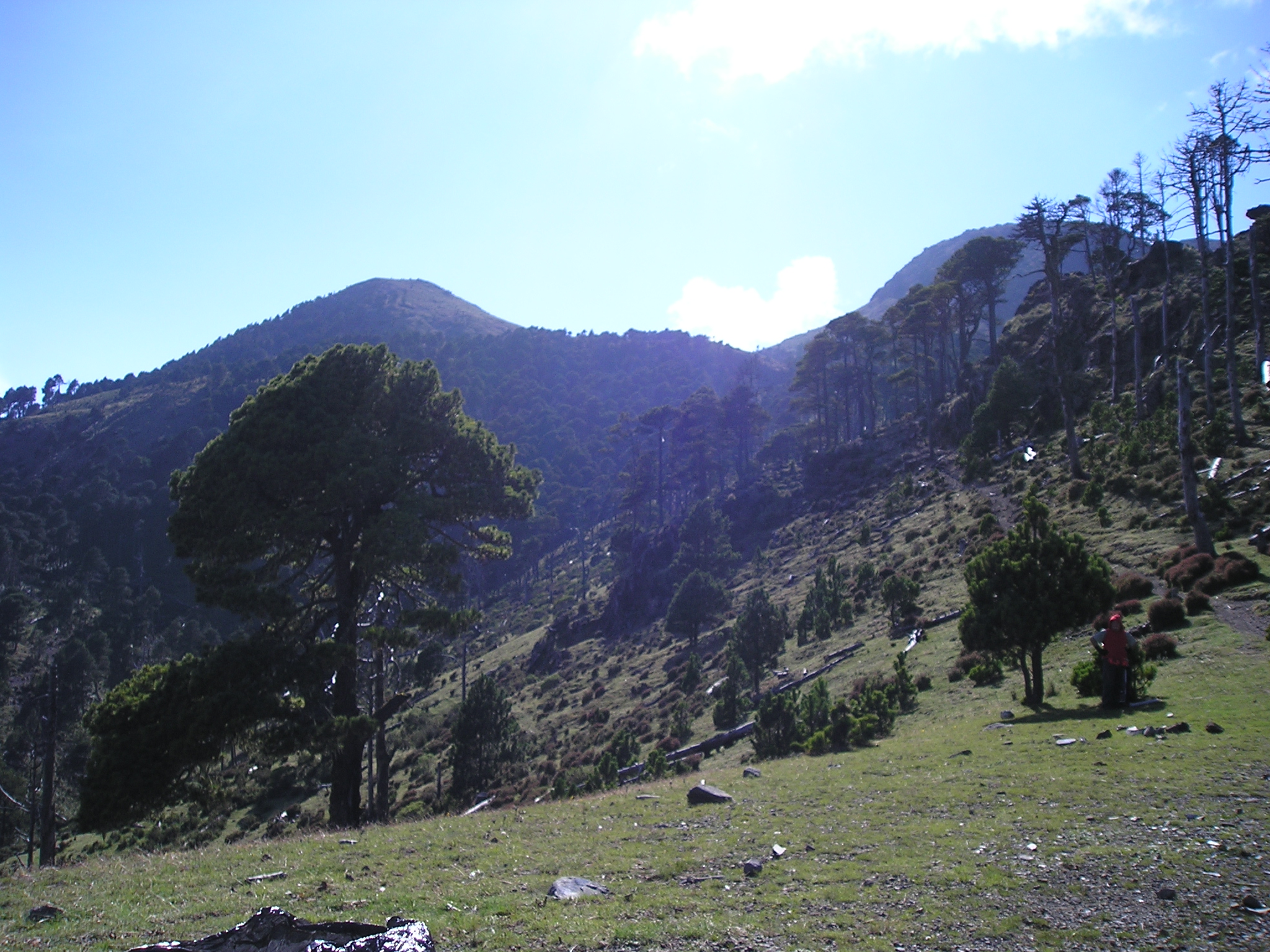 Guatemala Western Volcanic Highlands, Volcan Tajumulco , View of the peak from lunch, Walkopedia