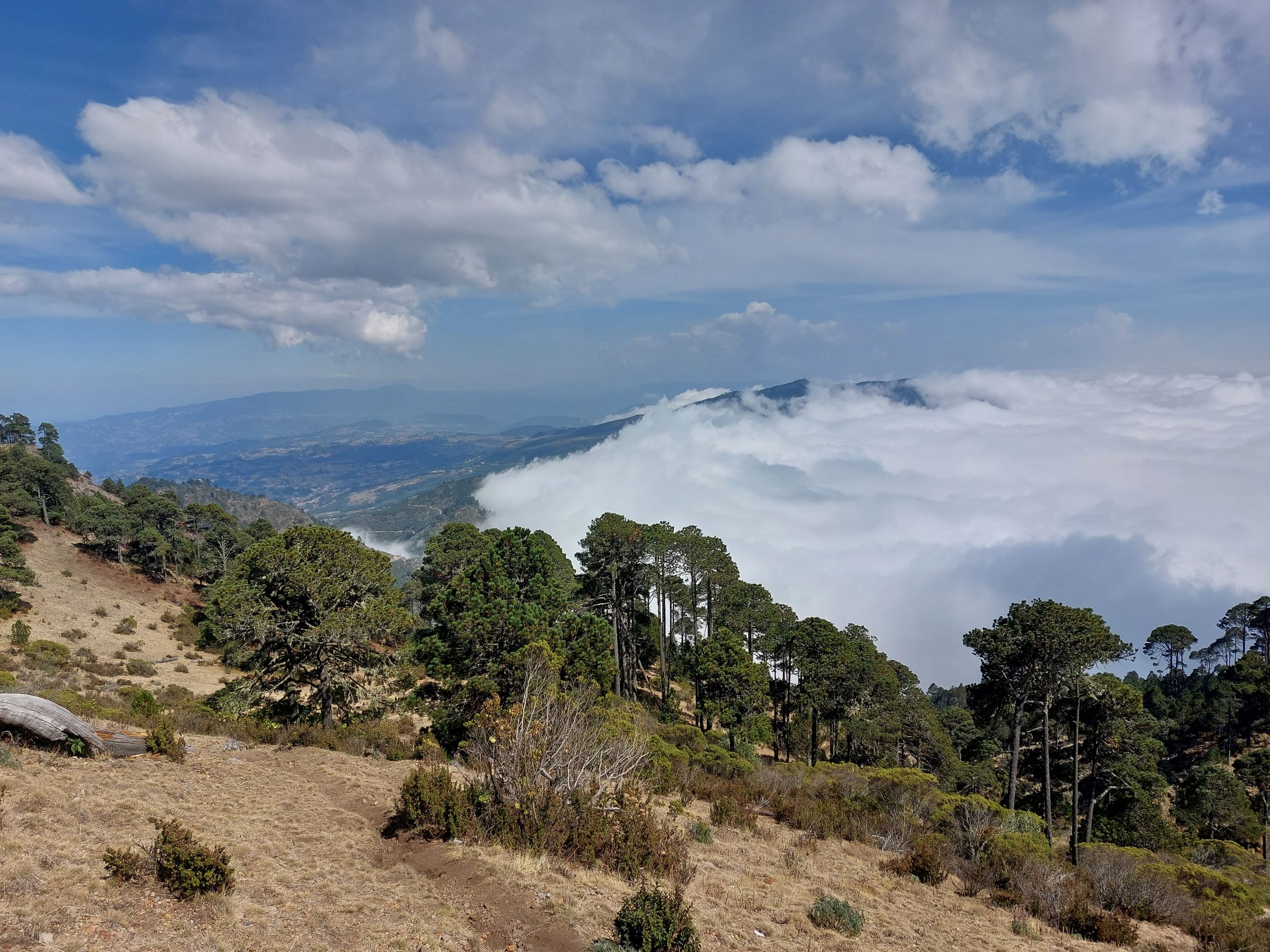 Guatemala Western Volcanic Highlands, Volcan Tajumulco , , Walkopedia