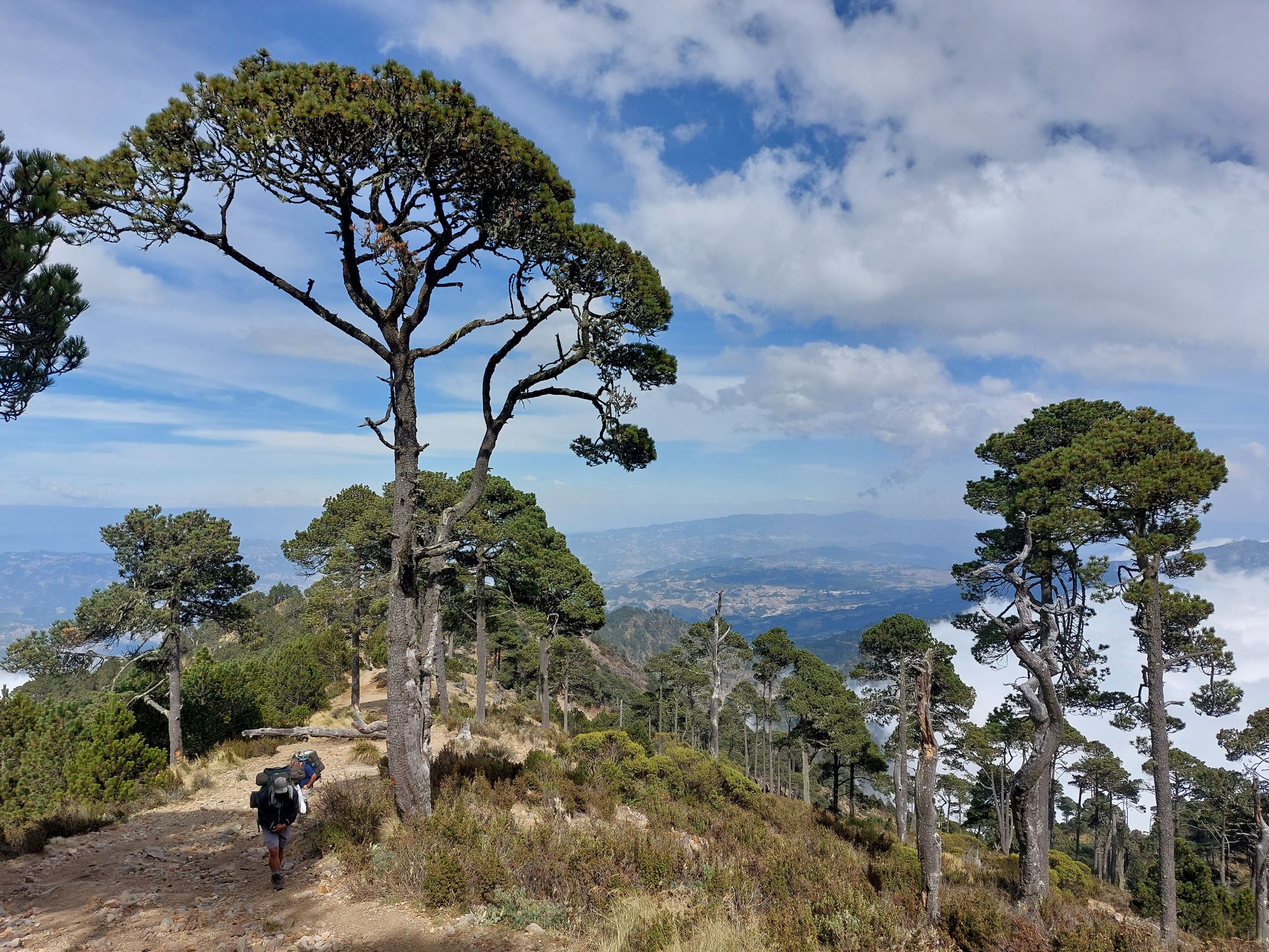 Guatemala Western Volcanic Highlands, Volcan Tajumulco , Ascent - on the ridge, Walkopedia