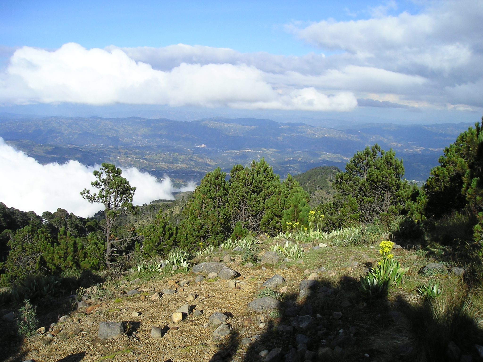 Guatemala Western Volcanic Highlands, Volcan Tajumulco , , Walkopedia
