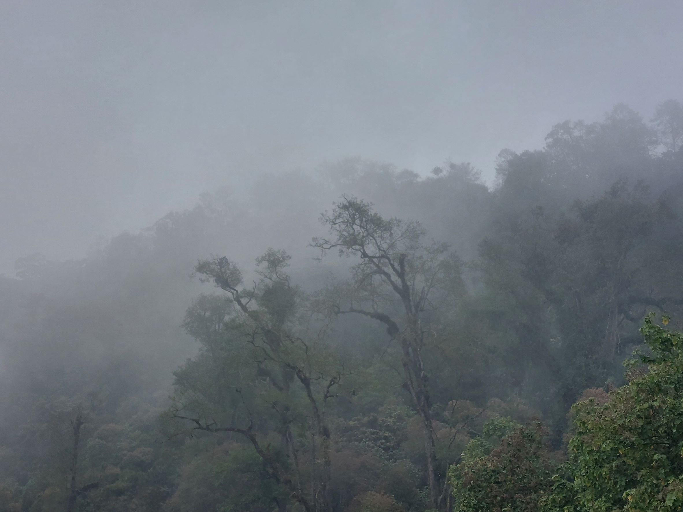 Guatemala Western Volcanic Highlands, Chicabal Crater Lake , , Walkopedia