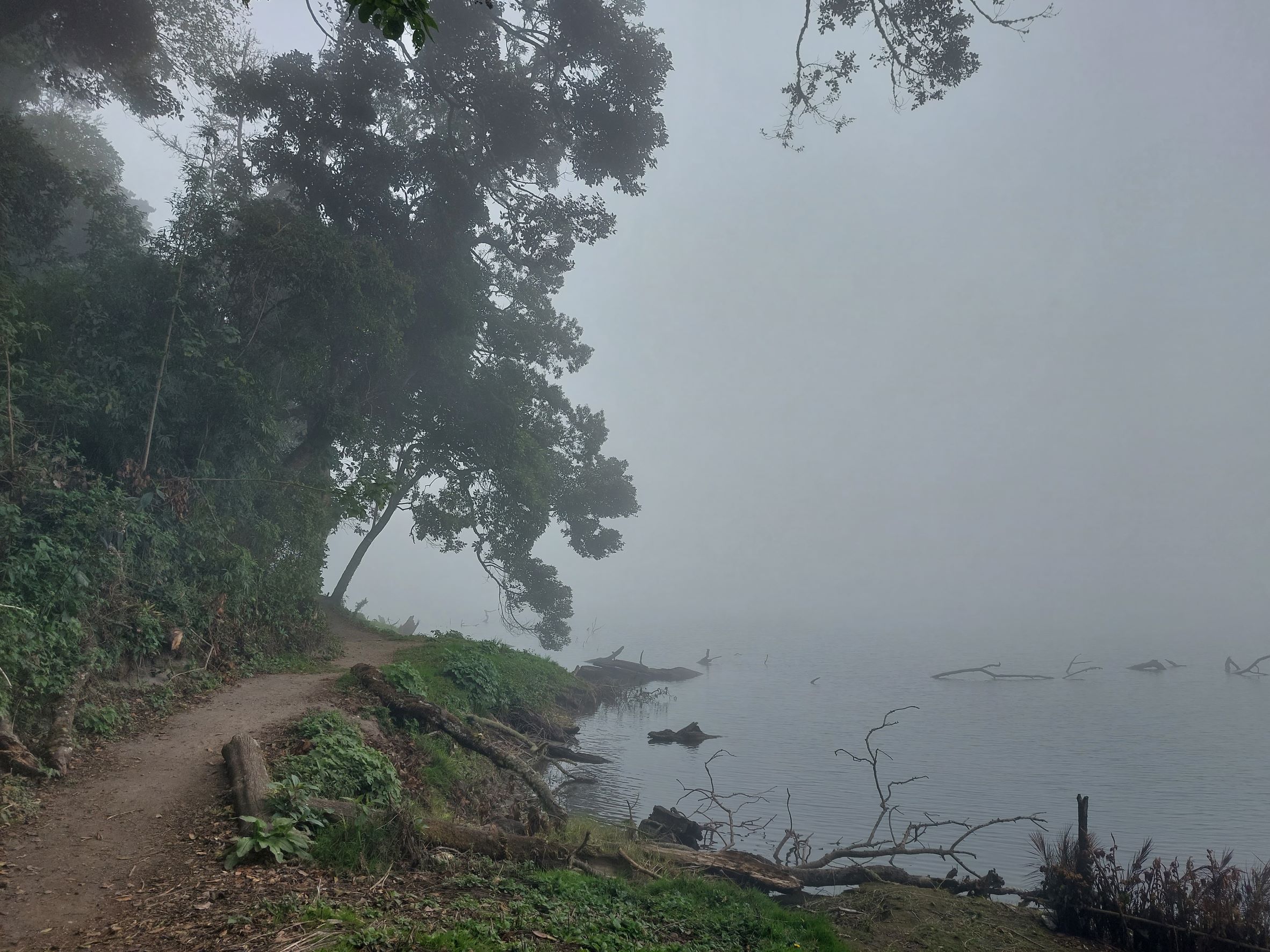 Lakeside path - © William Mackesy Chicabal Crater Lake : Lakeside path - © William Mackesy