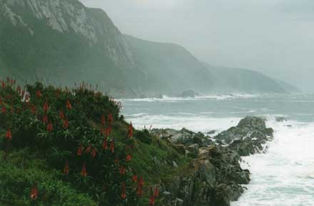 South Africa Eastern Cape Coast, Otter Trail, Otter Trail - , Walkopedia