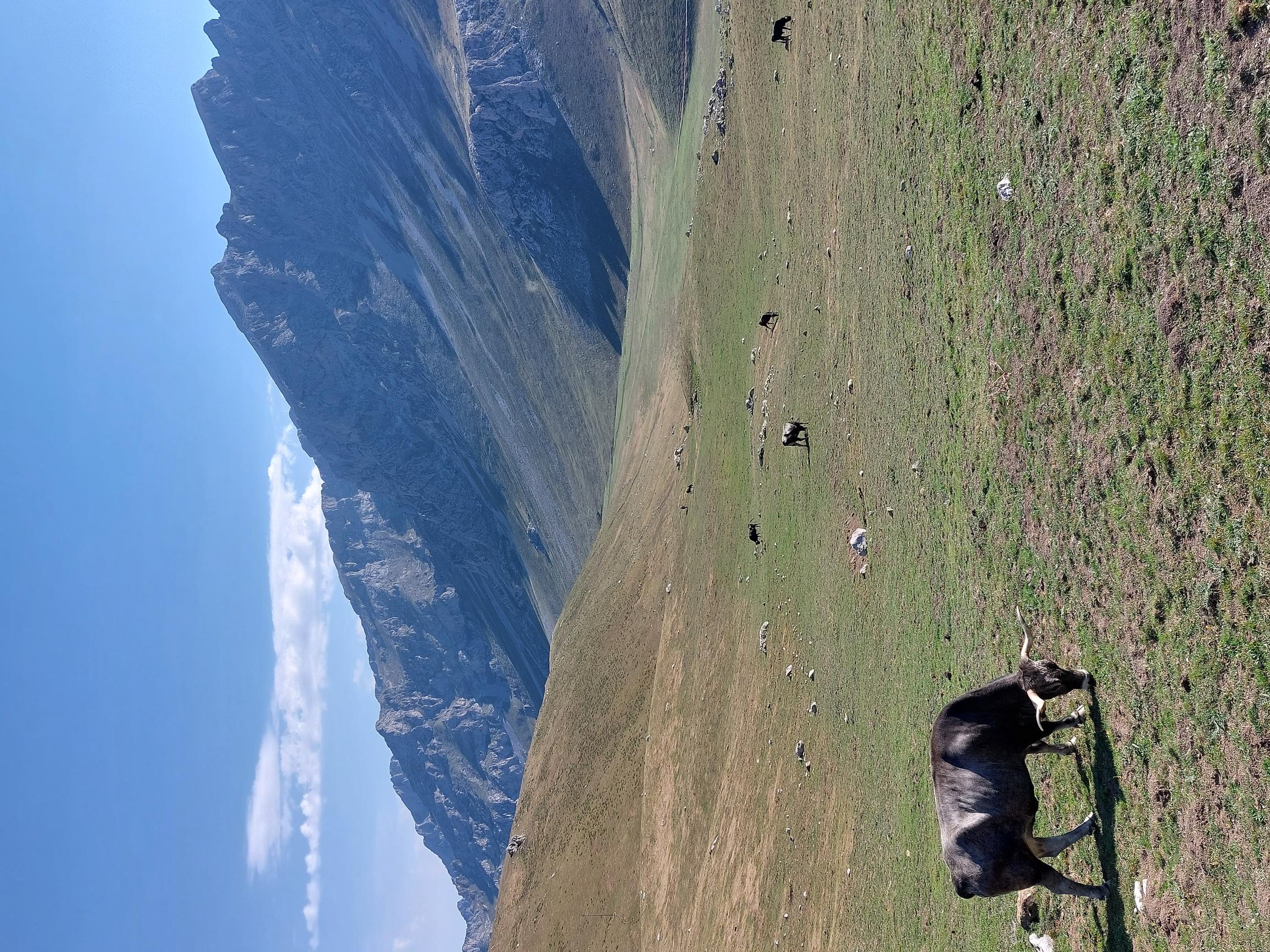 Spain NW Picos de Europa, Valle del Dudje, Very top of valley, Walkopedia