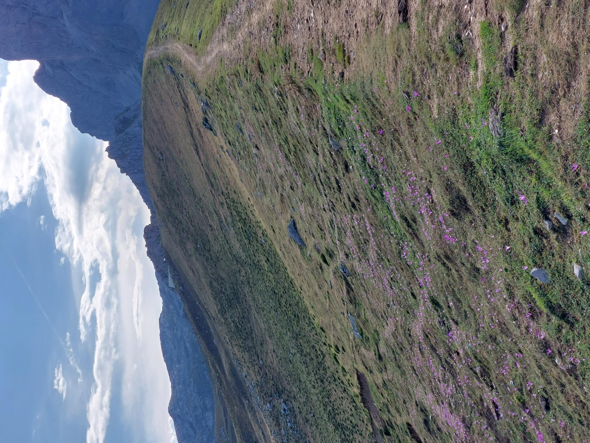 Top of LLomba del Toro - © William Mackesy... Valle del Dudje: Top of LLomba del Toro - © William Mackesy...