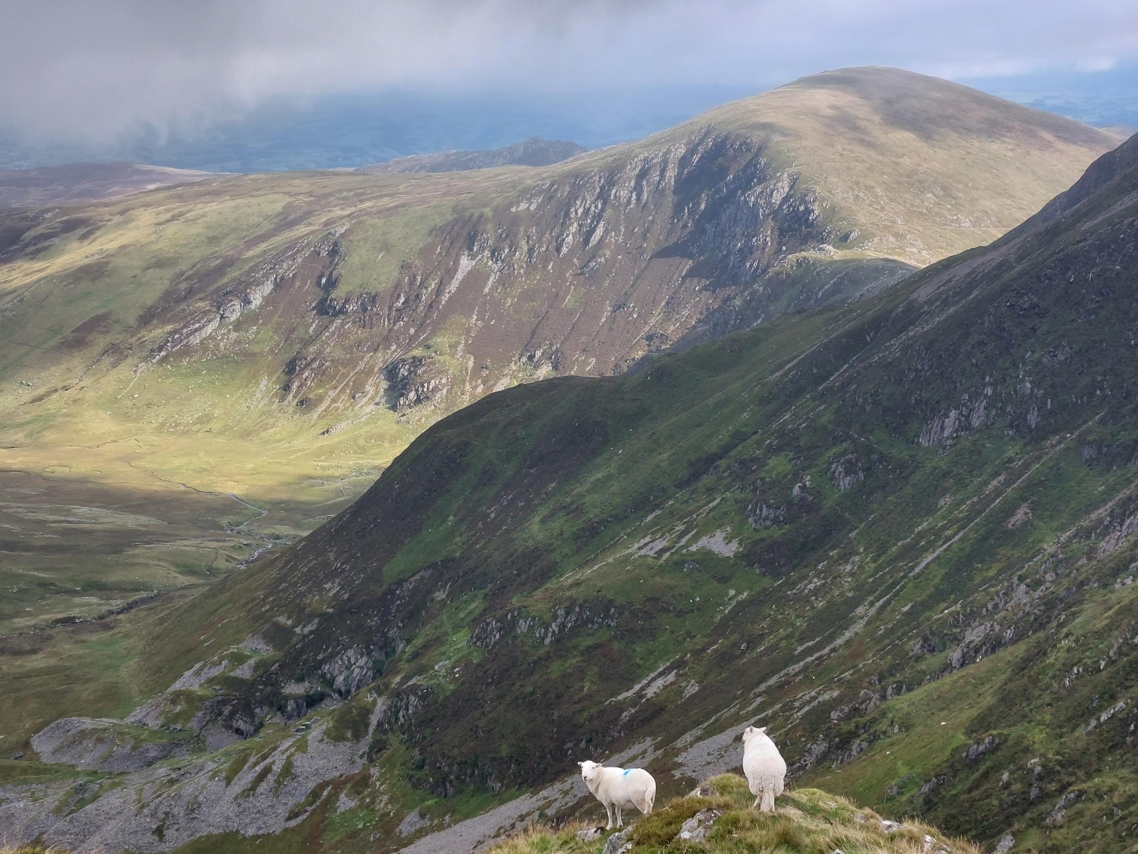 United Kingdom Wales Snowdonia, Carneddau from the South , Cwm Eigiau SE fm Llwellyn east, Walkopedia