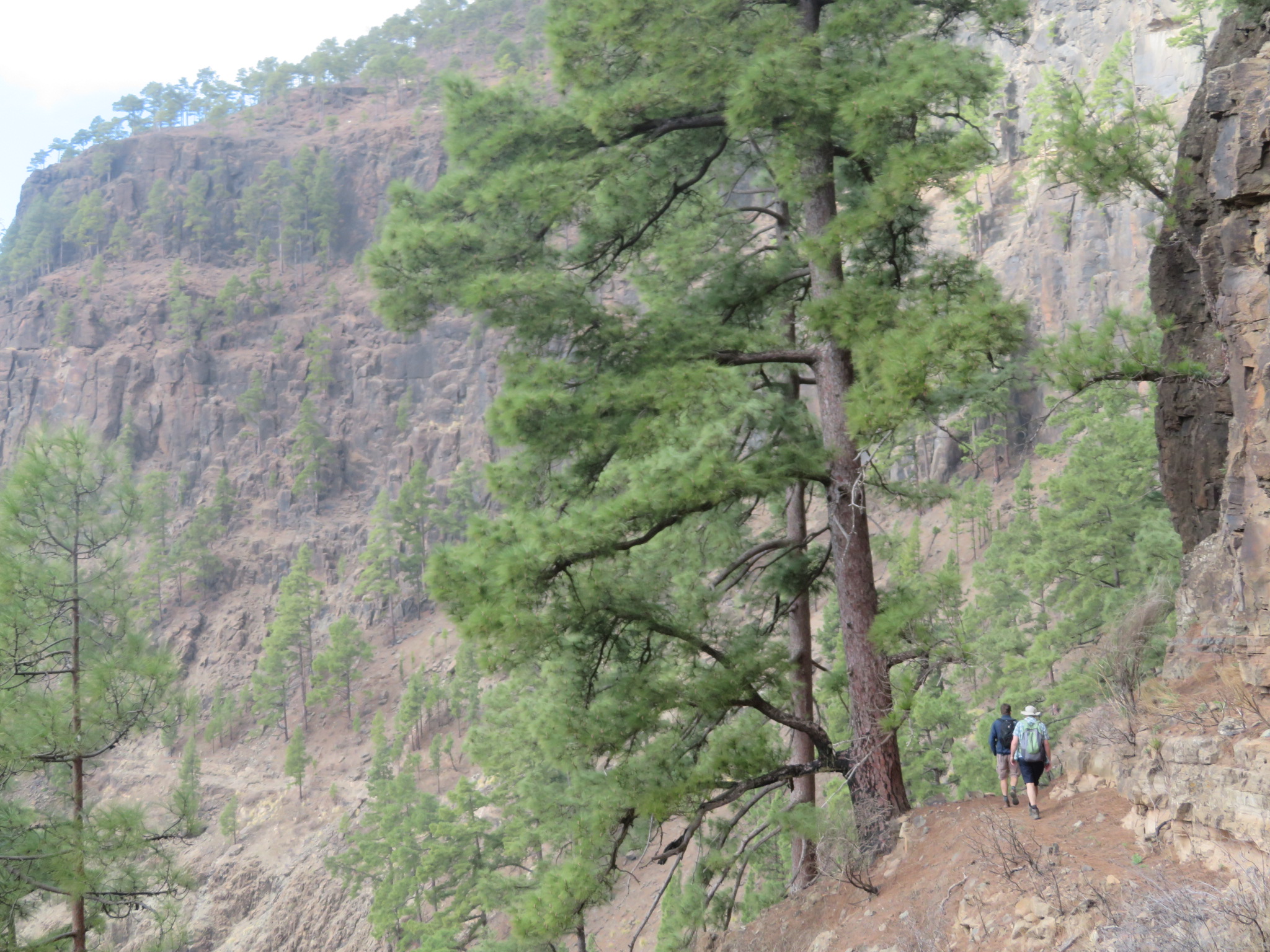 Spain Canary Islands: Gran Canaria, Inagua, , Walkopedia