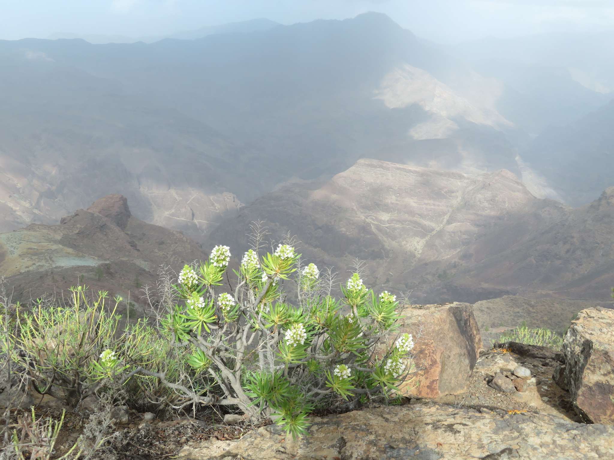 Spain Canary Islands: Gran Canaria, Inagua, , Walkopedia