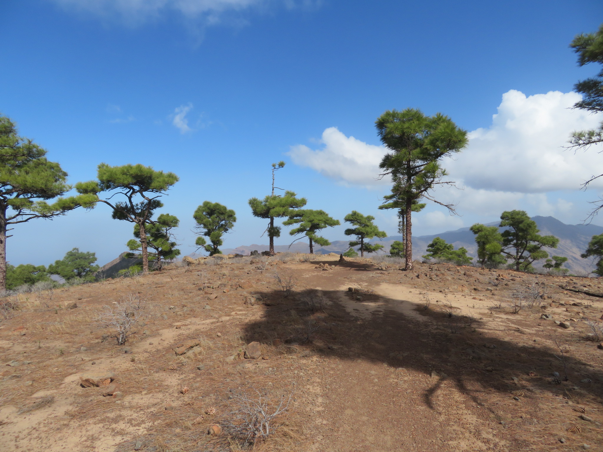 Spain Canary Islands: Gran Canaria, Inagua, Mt Viso ridge, different world, Walkopedia