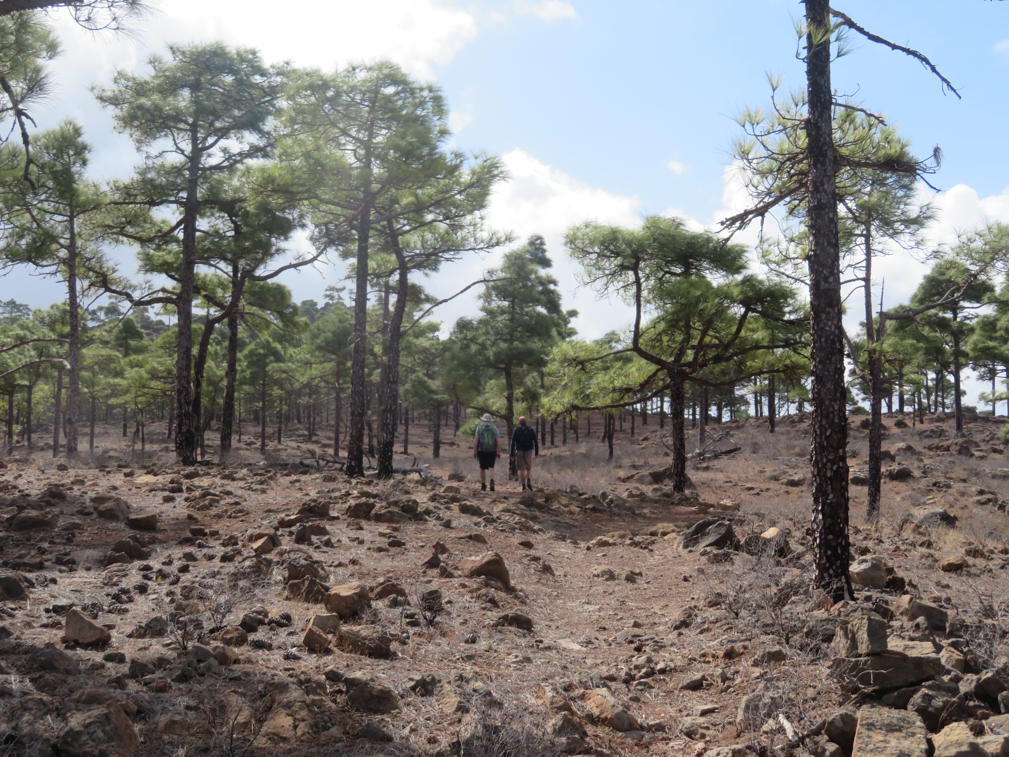 Spain Canary Islands: Gran Canaria, Inagua, , Walkopedia