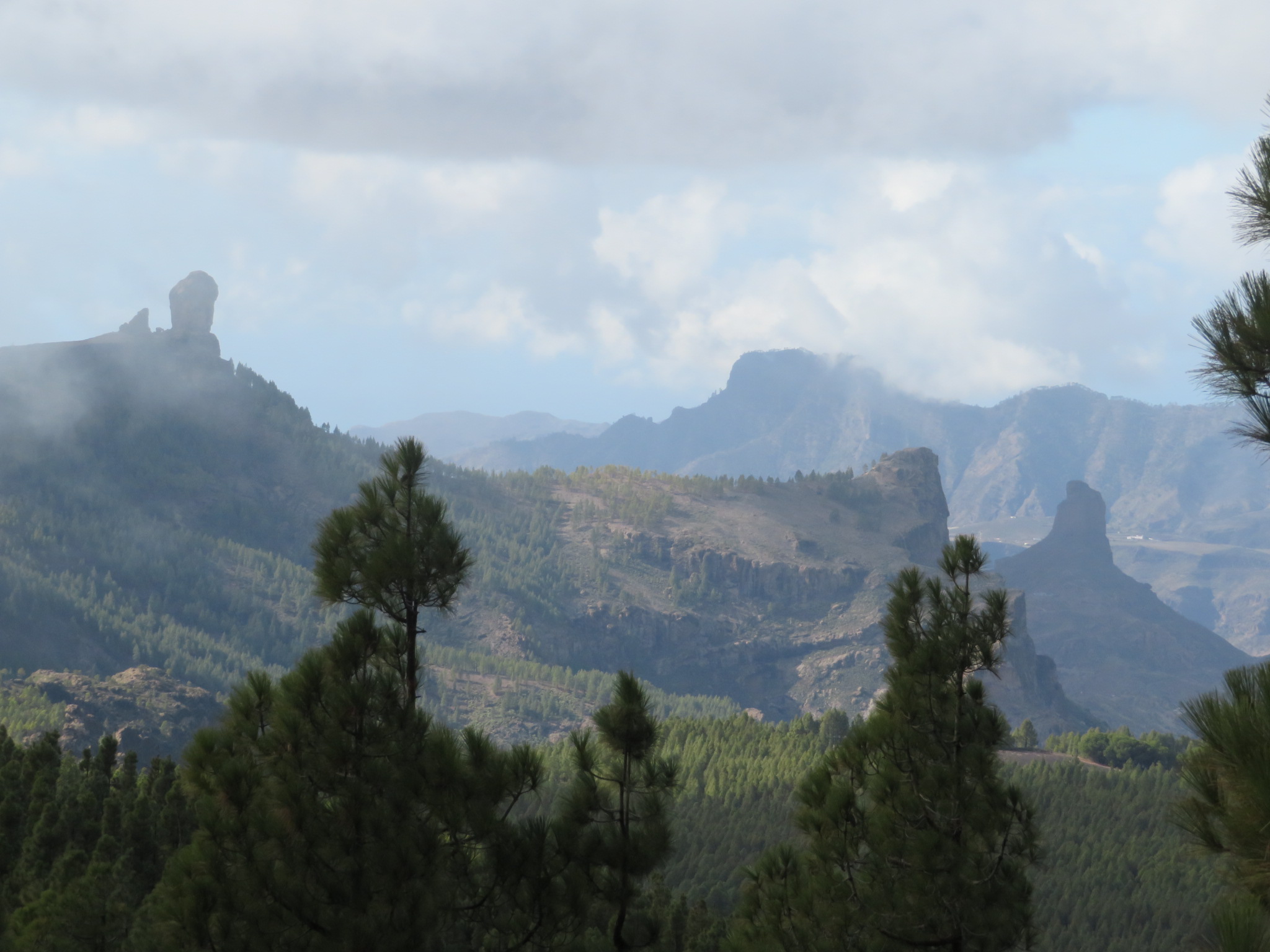 Spain Canary Islands: Gran Canaria, Pico de las Nieves  , , Walkopedia