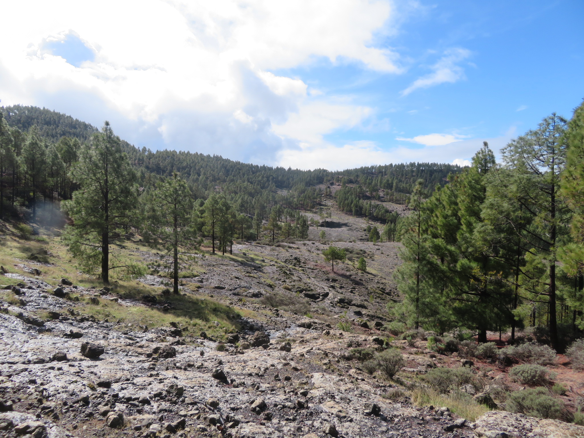 Spain Canary Islands: Gran Canaria, Pico de las Nieves  , , Walkopedia