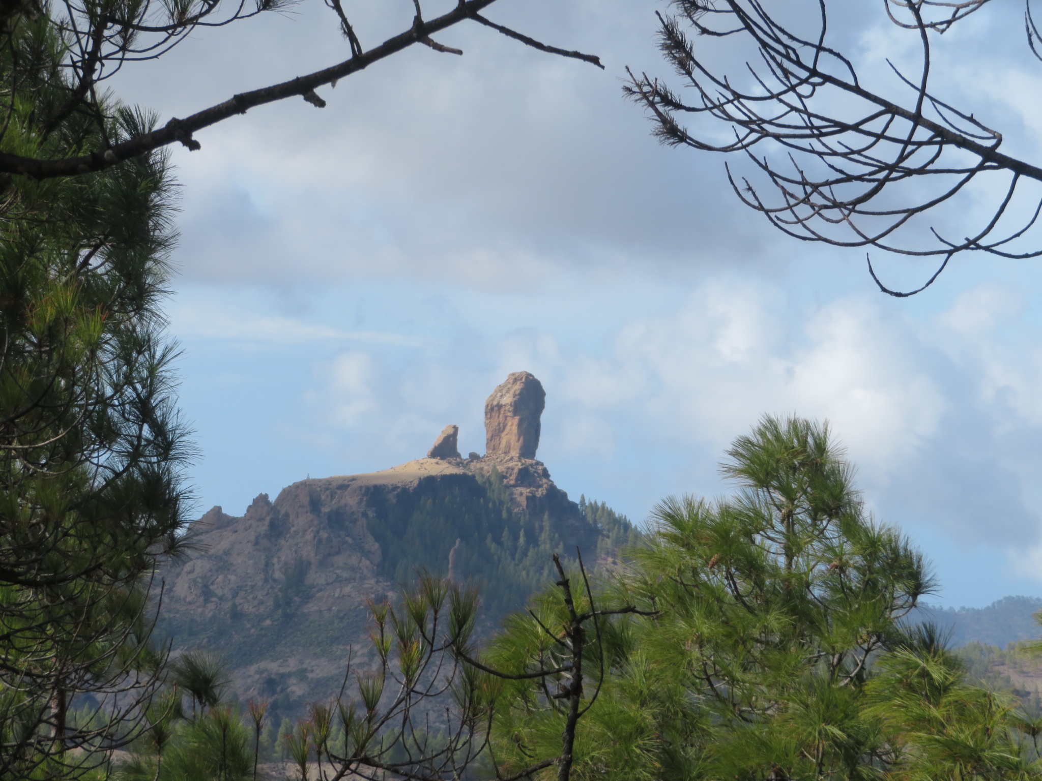 Spain Canary Islands: Gran Canaria, Pico de las Nieves  , , Walkopedia