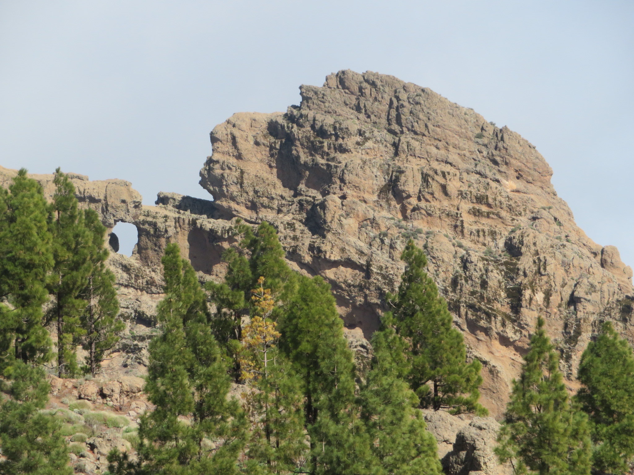 Spain Canary Islands: Gran Canaria, Pico de las Nieves  , Pico from ridge, Walkopedia