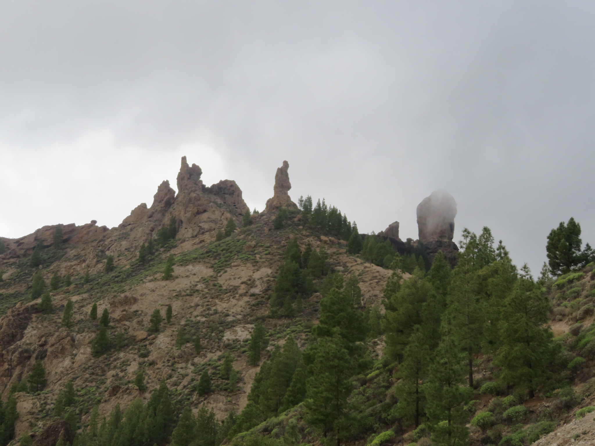 Spain Canary Islands: Gran Canaria, Cruz Grande to the Nieves Ridge, Rocque Nublo, early in walk, Walkopedia