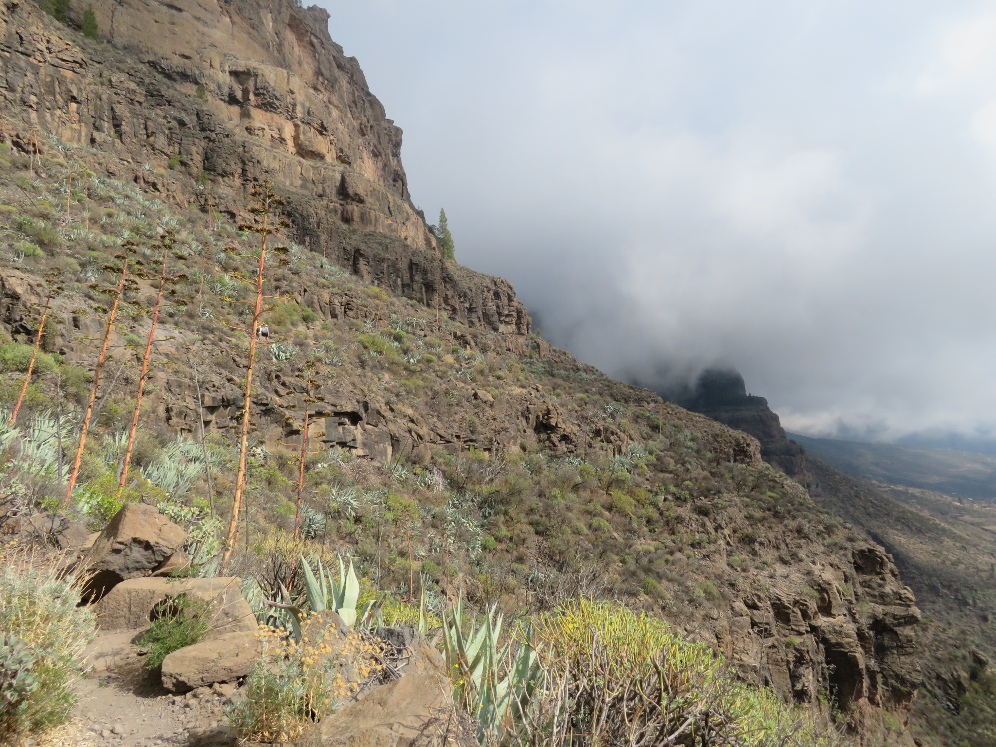 Spain Canary Islands: Gran Canaria, Cruz Grande to the Nieves Ridge, Above Cruz G, Walkopedia