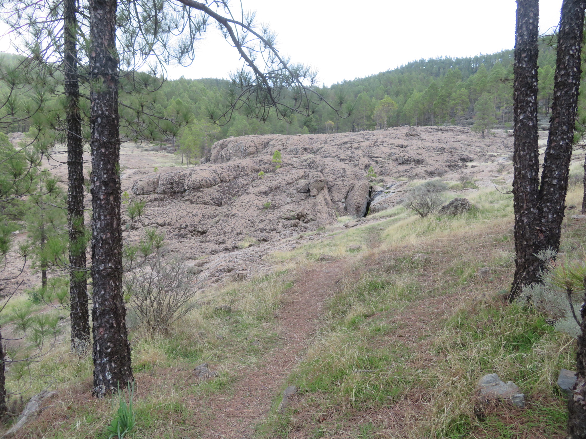 Spain Canary Islands: Gran Canaria, Cruz Grande to the Nieves Ridge, , Walkopedia