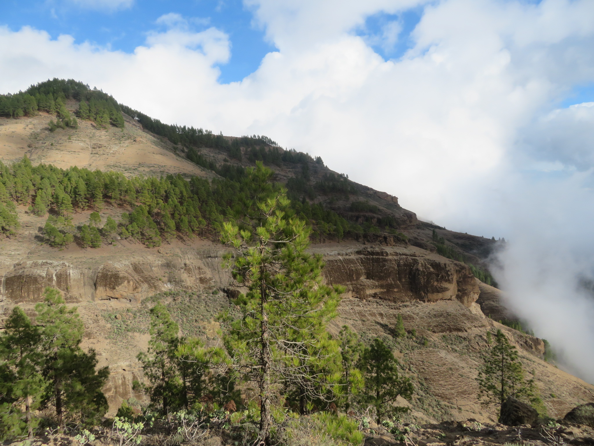 Spain Canary Islands: Gran Canaria, Cruz Grande to the Nieves Ridge, , Walkopedia