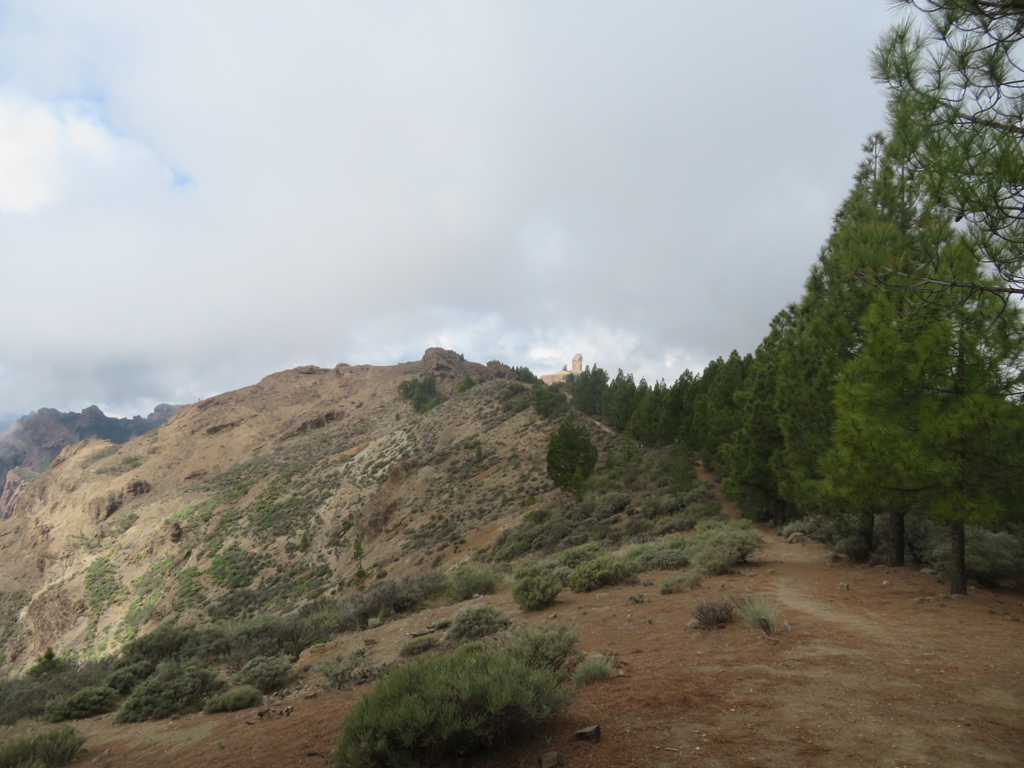 Spain Canary Islands: Gran Canaria, Cruz Grande to the Nieves Ridge, El Montanon ridge, Walkopedia