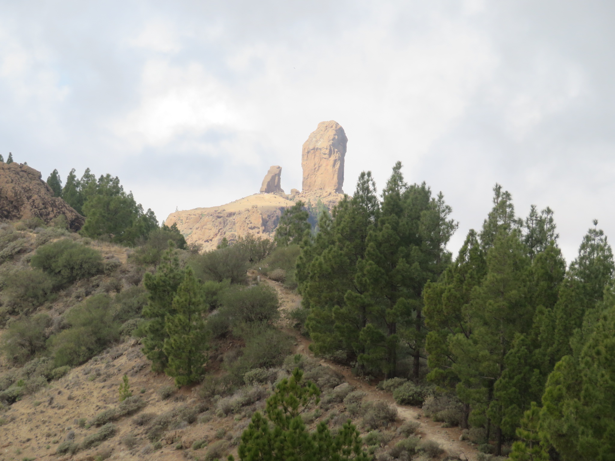 Spain Canary Islands: Gran Canaria, Cruz Grande to the Nieves Ridge, Rocq Nublo from El Montanon ridge, Walkopedia