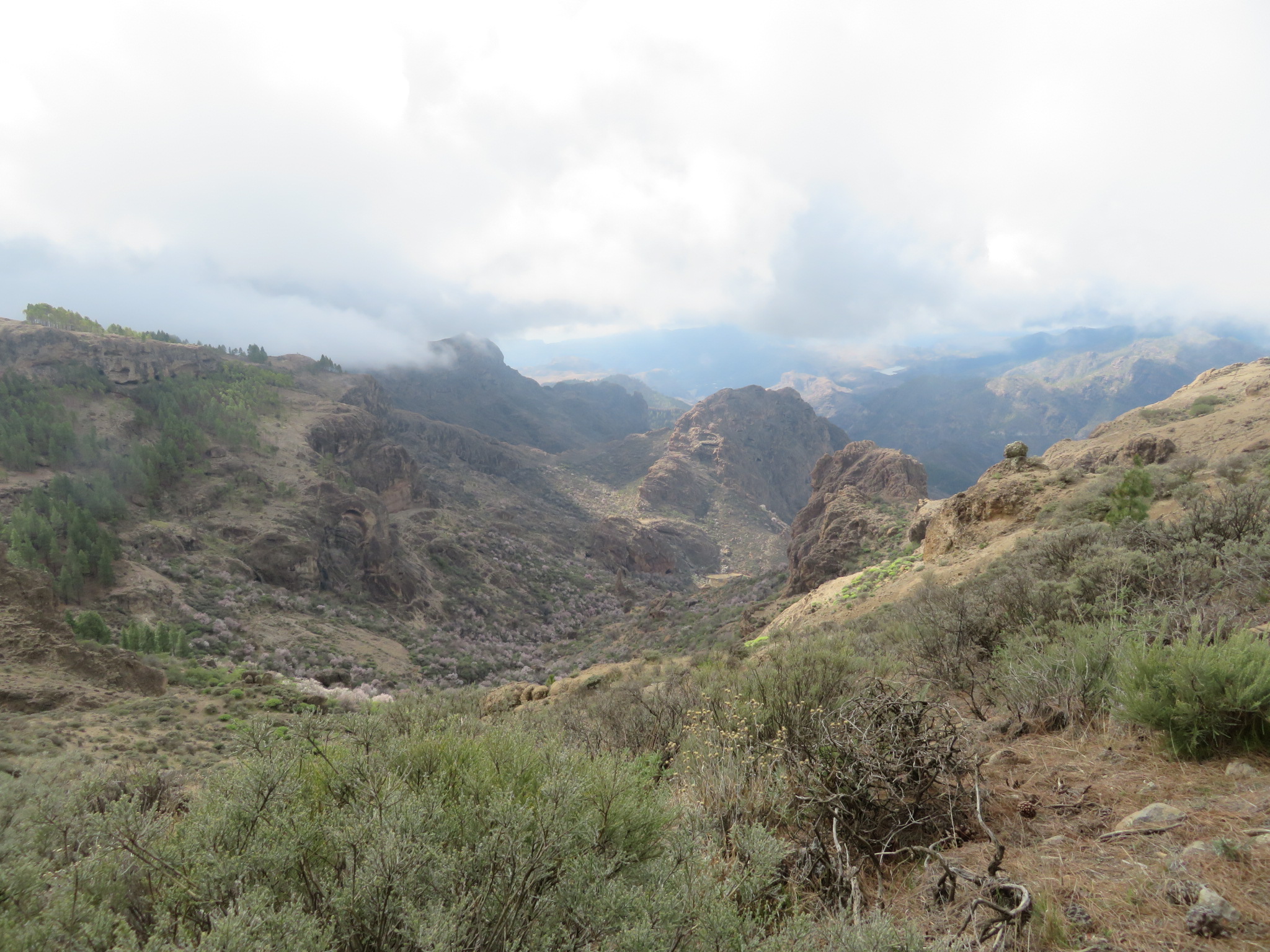 Spain Canary Islands: Gran Canaria, Cruz Grande to the Nieves Ridge, S from El Montanon ridge, Walkopedia