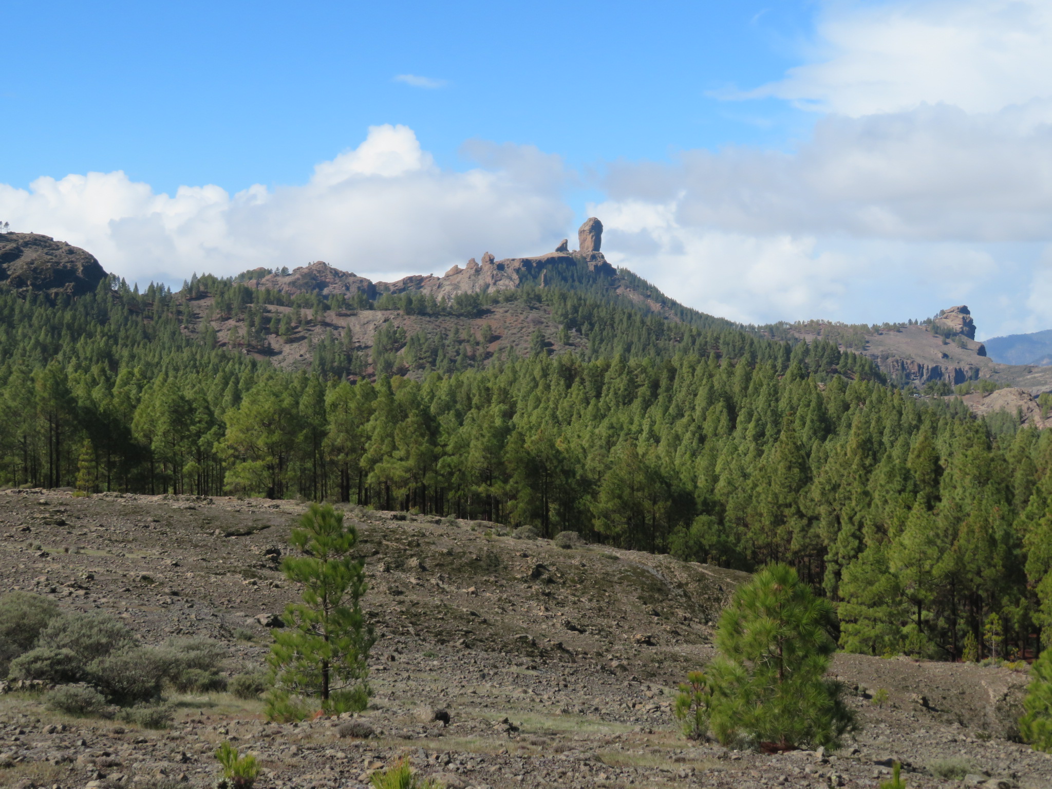 Spain Canary Islands: Gran Canaria, Cruz Grande to the Nieves Ridge, Across to Rocq Nublo from north of dellogada, Walkopedia