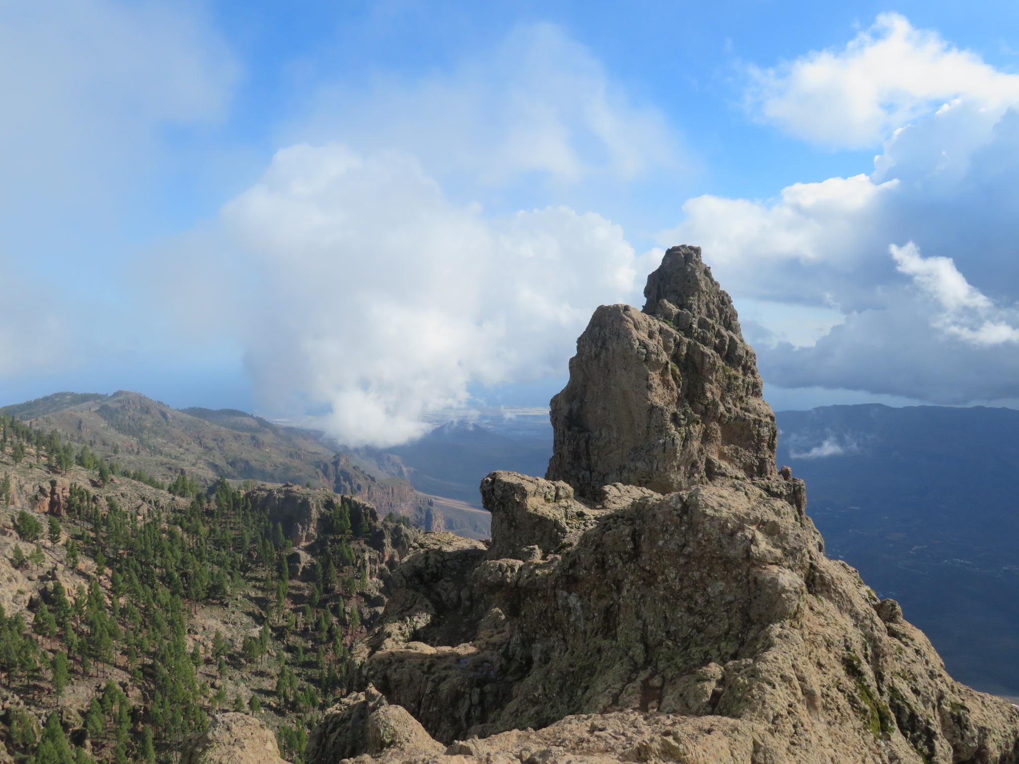 Cruz Grande to the Nieves Ridge: Pico de las Nieves - © William Mackesy
