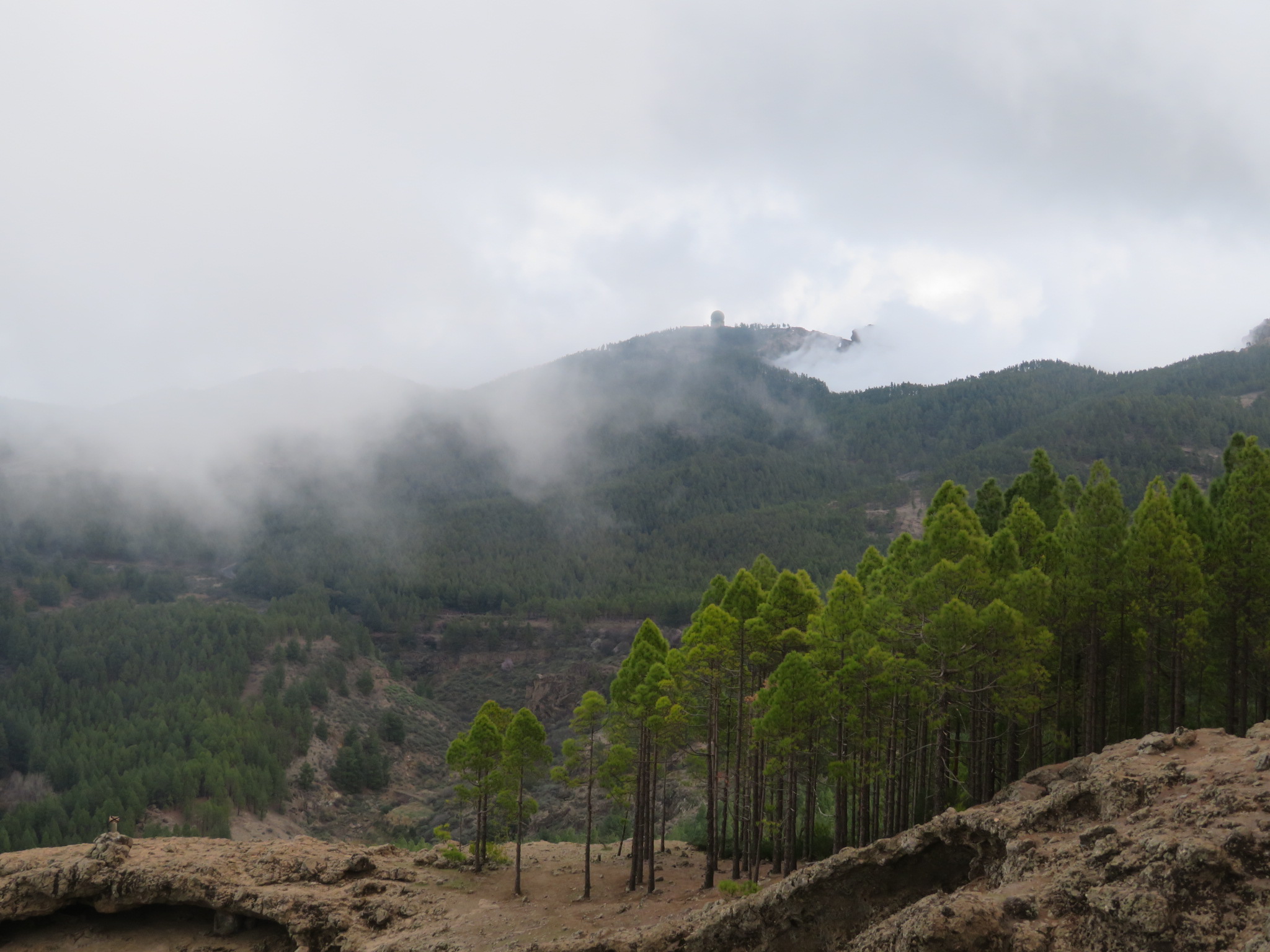 Spain Canary Islands: Gran Canaria, Roque Nublo, , Walkopedia