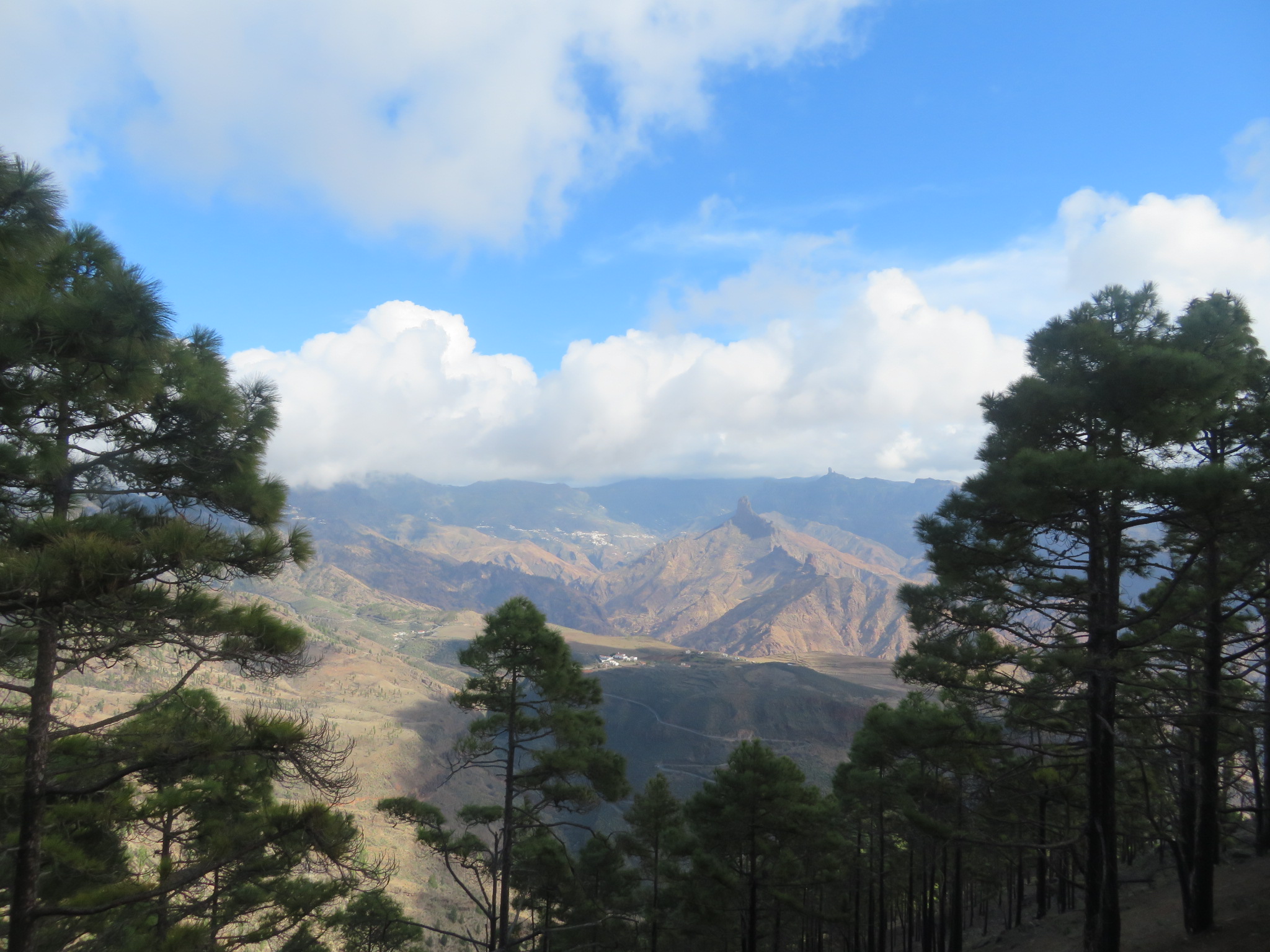 Spain Canary Islands: Gran Canaria, Altavista Ridge, Eastish, Walkopedia