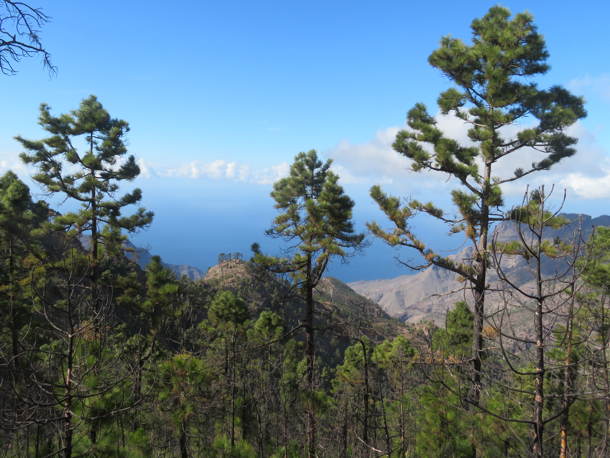 Spain Canary Islands: Gran Canaria, Altavista Ridge,  Looking NW, Walkopedia