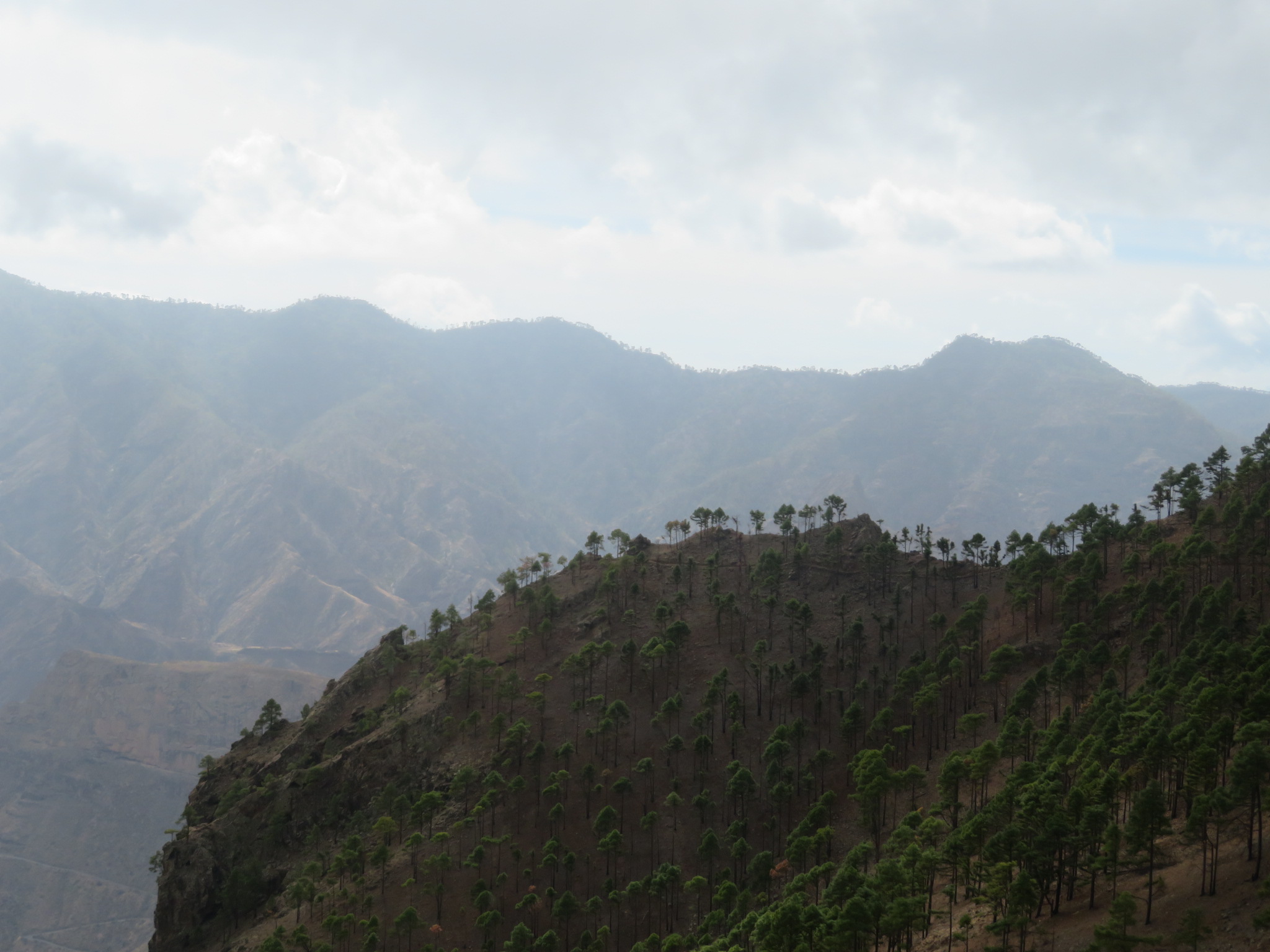 Spain Canary Islands: Gran Canaria, Altavista Ridge, , Walkopedia