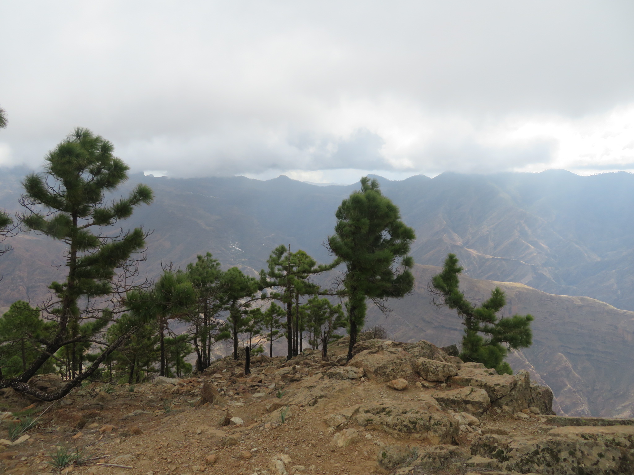 Spain Canary Islands: Gran Canaria, Altavista Ridge, Approaching summit, Walkopedia