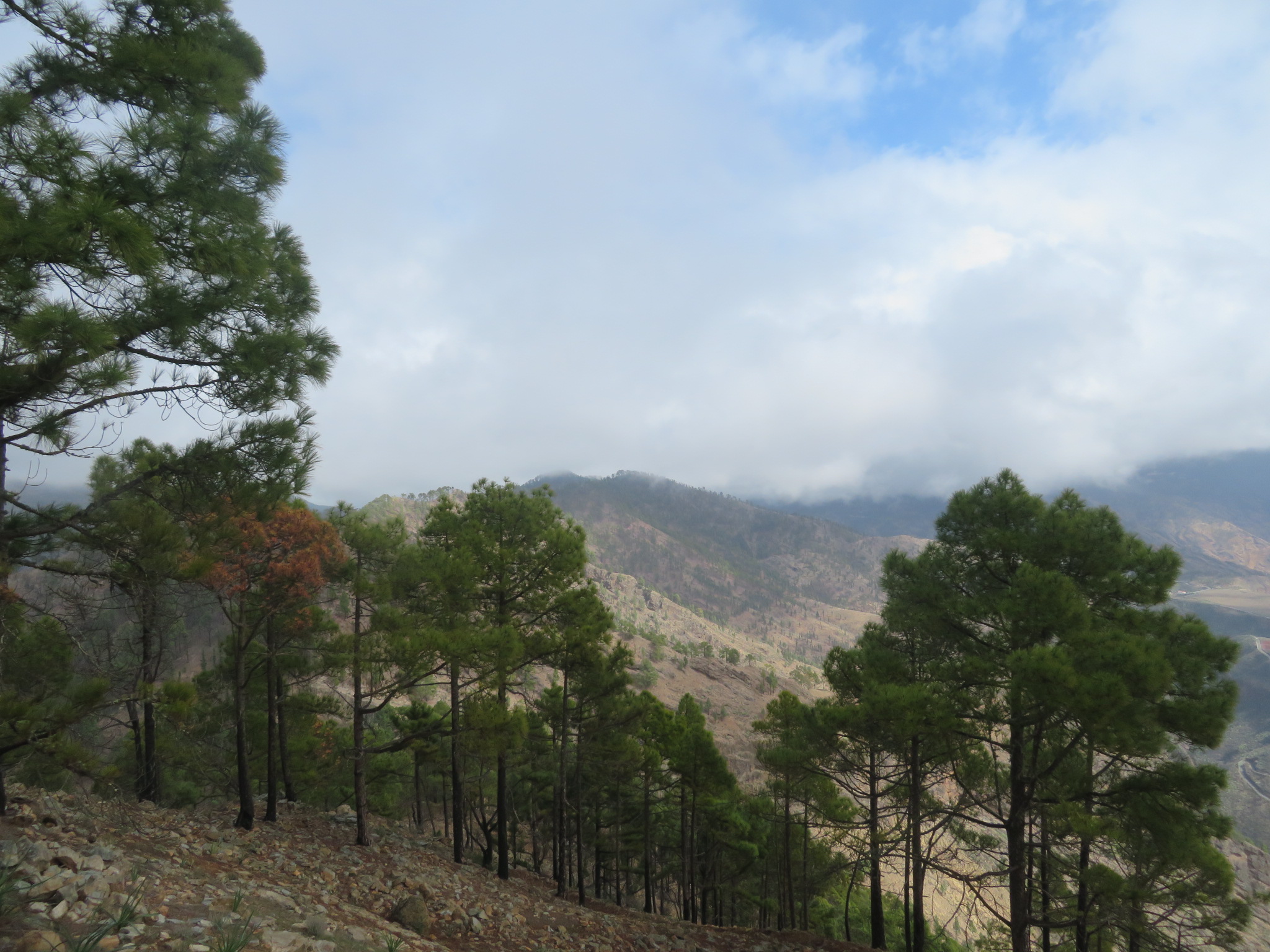 Spain Canary Islands: Gran Canaria, Altavista Ridge, Back along ridge, Walkopedia