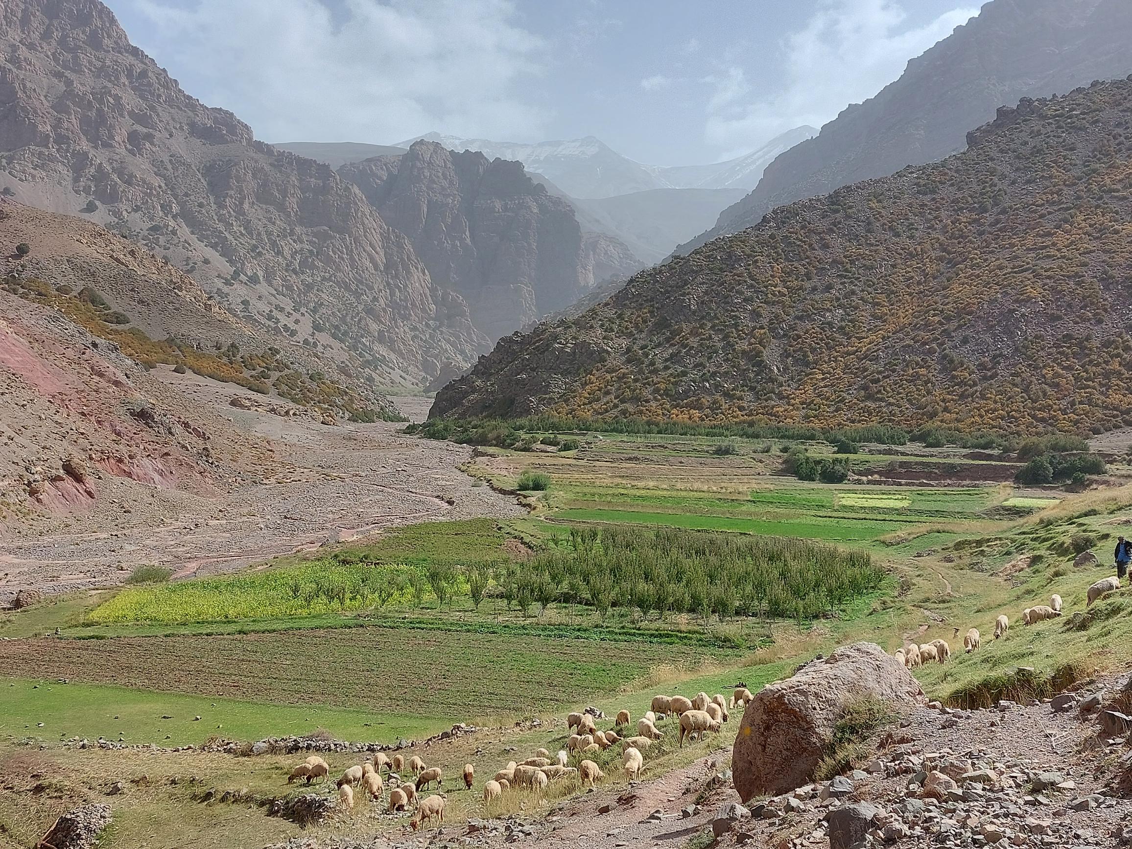 Morocco High Atlas MGoun, MGoun Traverses and Circuits, Day 1,8 Foot of Arouss gorge, Walkopedia