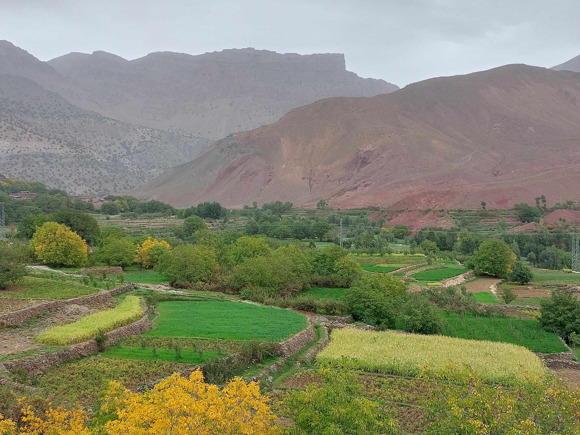 Morocco High Atlas MGoun, MGoun Traverses and Circuits, Day 5,2 Up upper Tessaout valley, Walkopedia