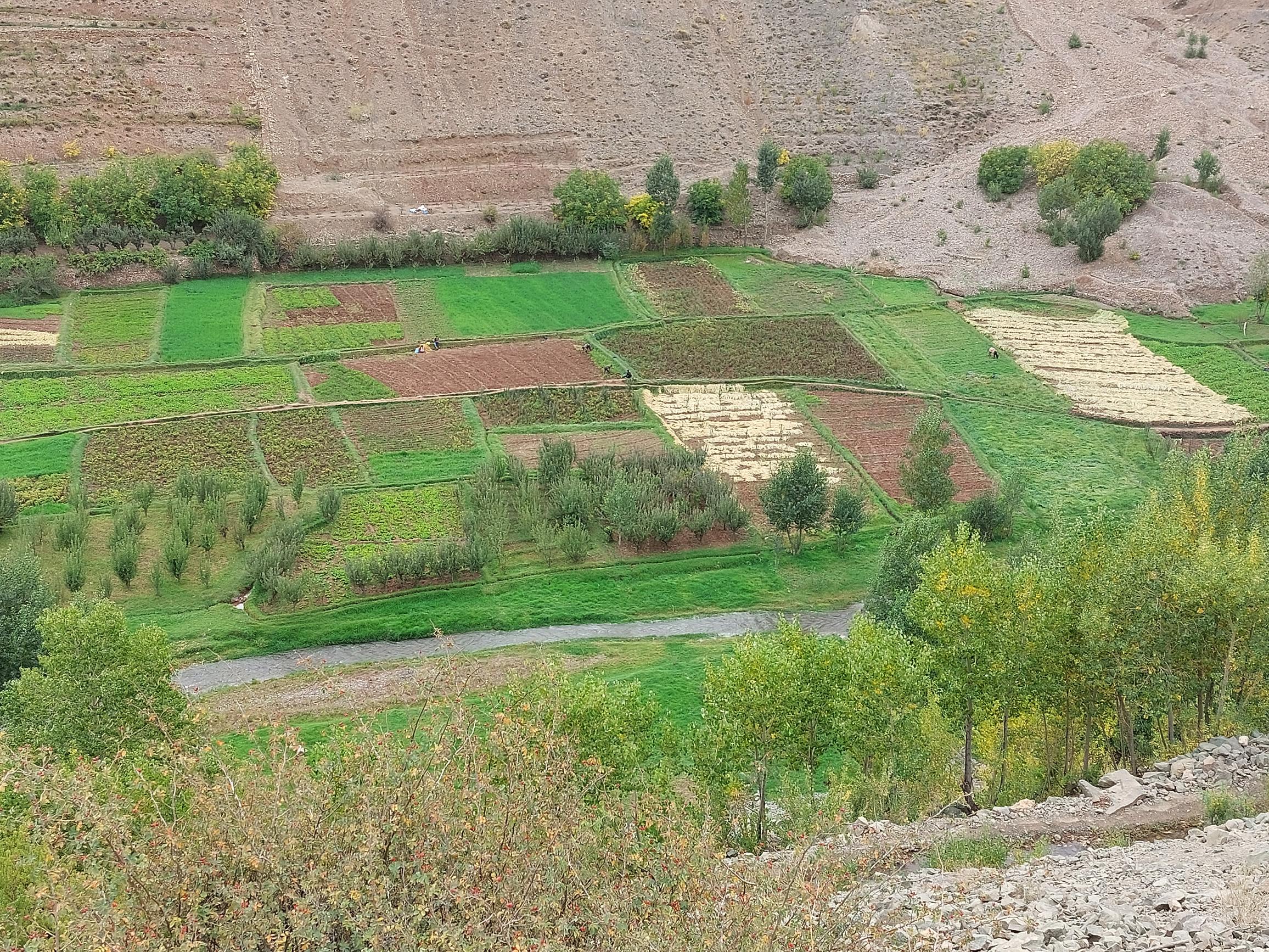 Morocco High Atlas MGoun, Tassaout valley, , Walkopedia