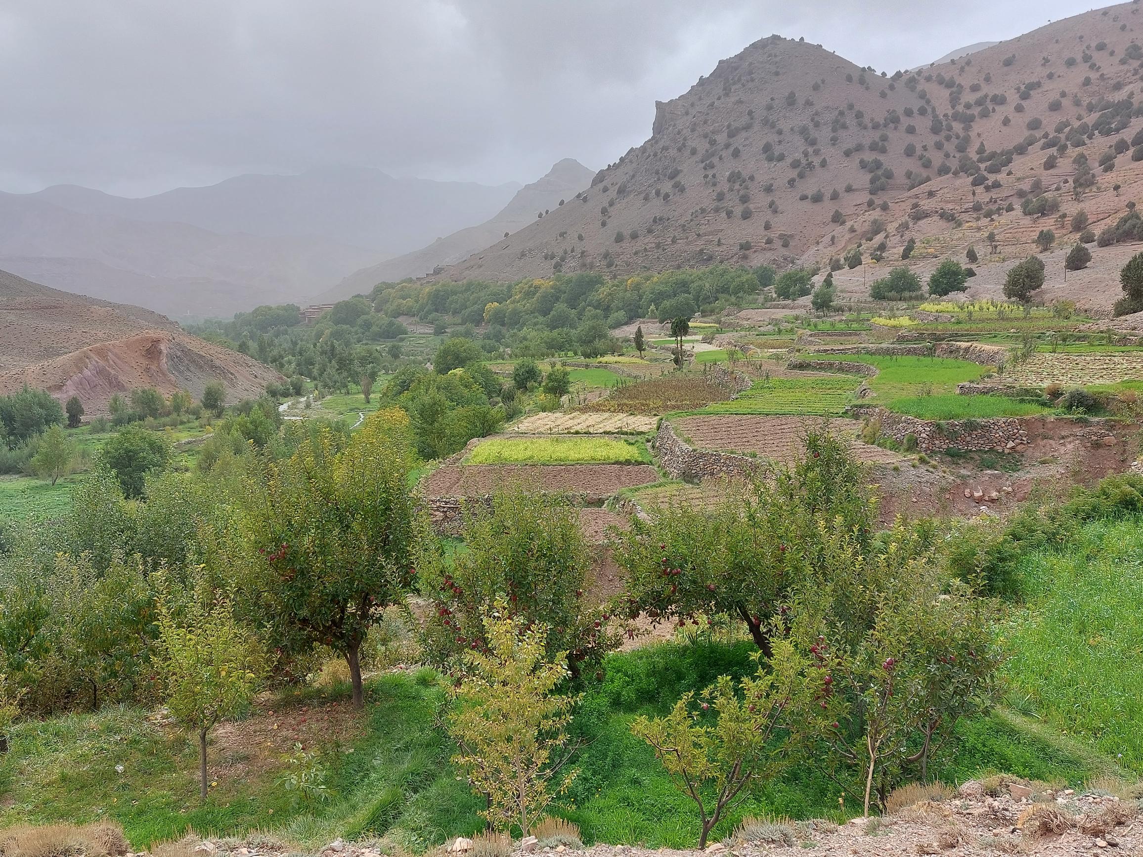 Morocco High Atlas MGoun, Tassaout valley, Tassaout valley top, Walkopedia