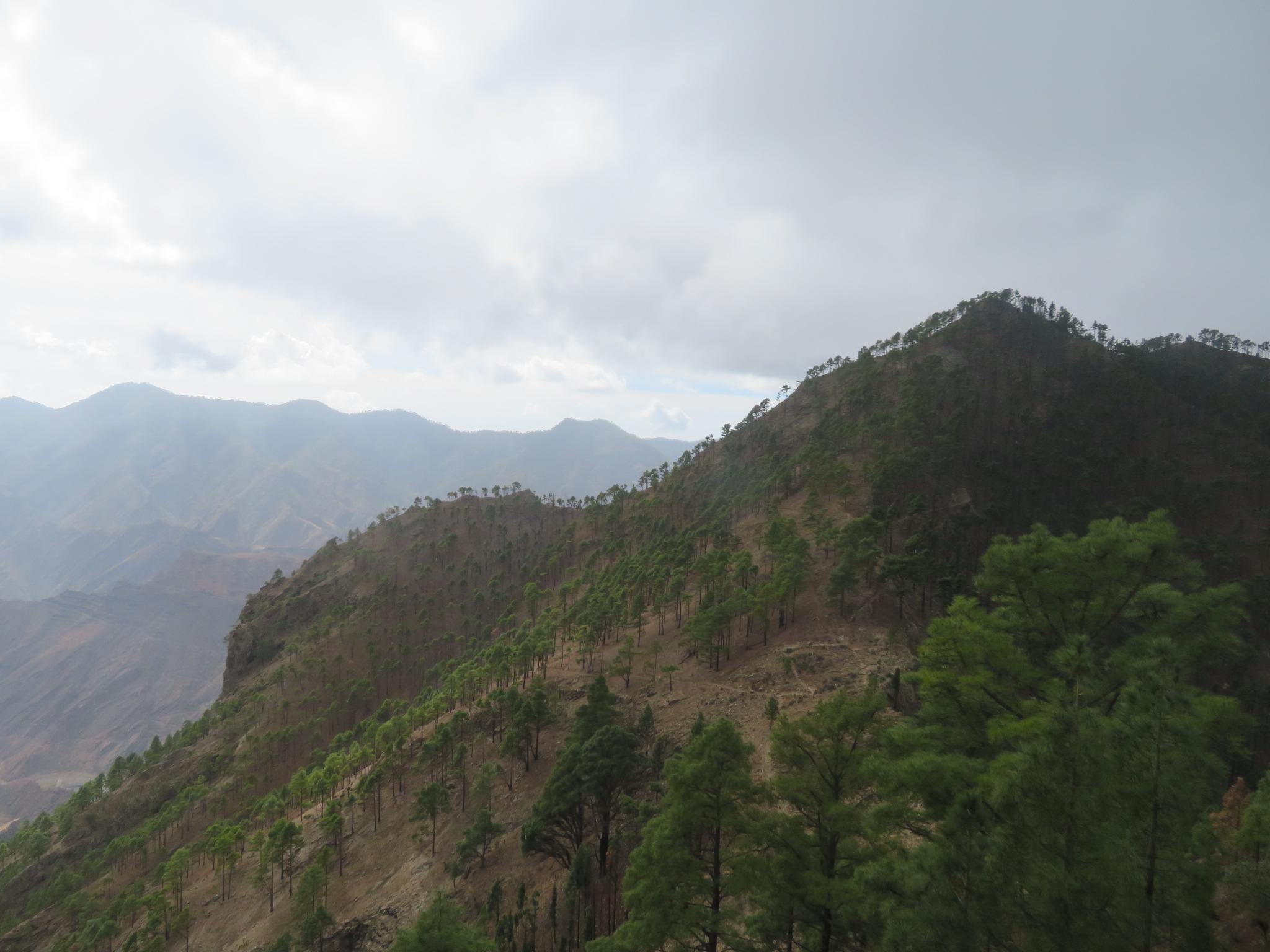 Spain Canary Islands: Gran Canaria, Gran Canaria , From high ridge, Walkopedia