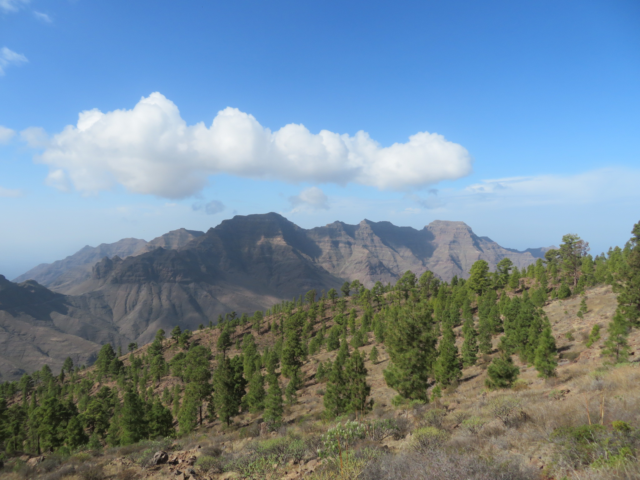 Spain Canary Islands: Gran Canaria, Gran Canaria , , Walkopedia