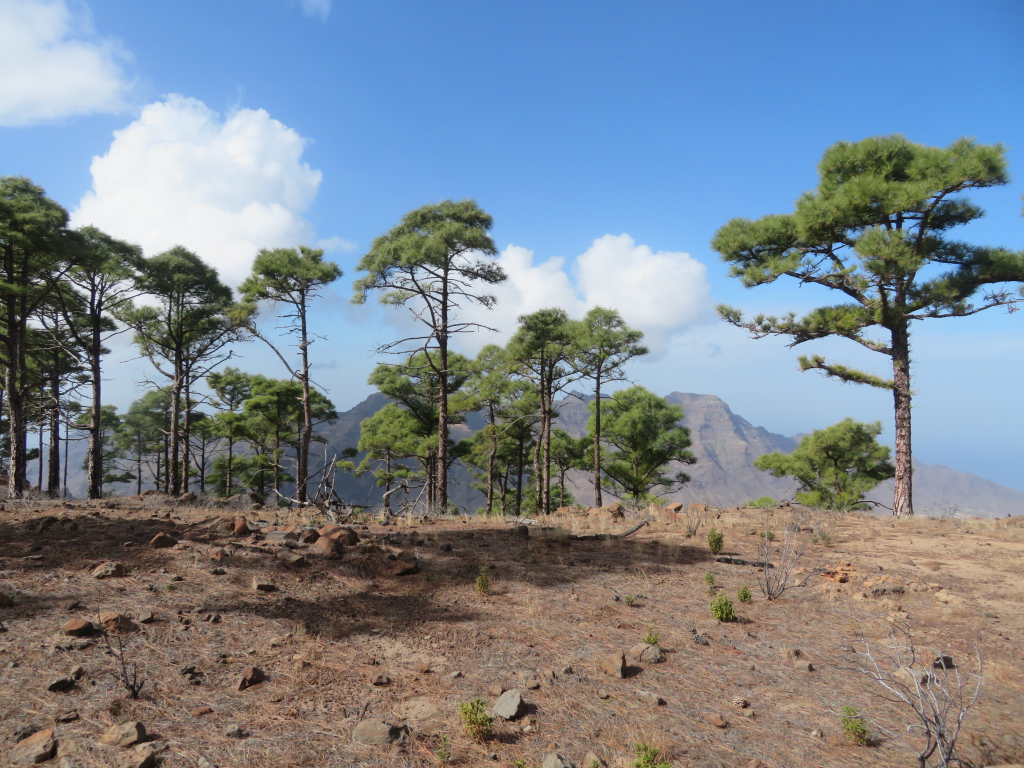 Spain Canary Islands: Gran Canaria, Gran Canaria , , Walkopedia