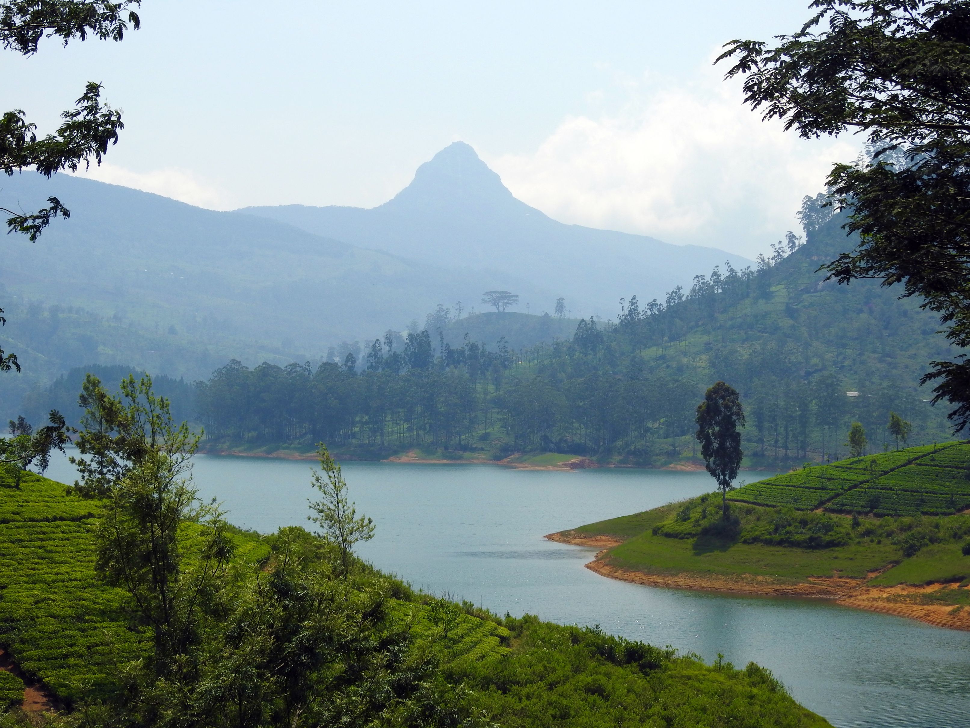 Adams Peak
Adams Peak from Makeliya - © Wikimedia User (Rehman Abubakr) Adams Peak
Adams Peak from Makeliya - © Wikimedia User (Rehman Abubakr)