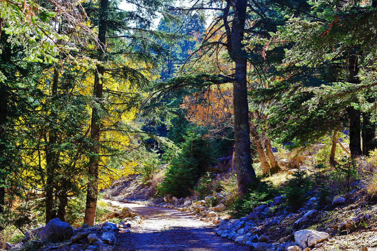 Morocco Rif Mountains, Rif Mountains, Talassemtane National Park , Walkopedia