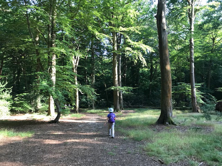 United Kingdom England, The Whittington Way, Burnham Beeches and The Shakespeare Way, Walkopedia